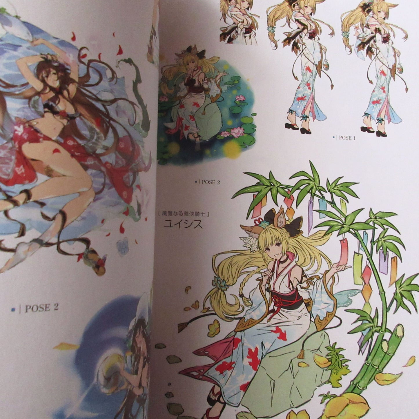 GRANBLUE FANTASY Graphic Archive 5 EXTRA WORKS