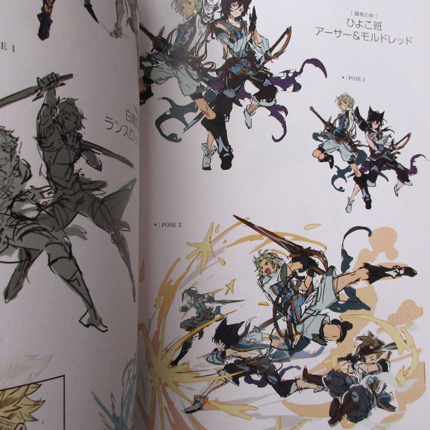 GRANBLUE FANTASY Graphic Archive 5 EXTRA WORKS