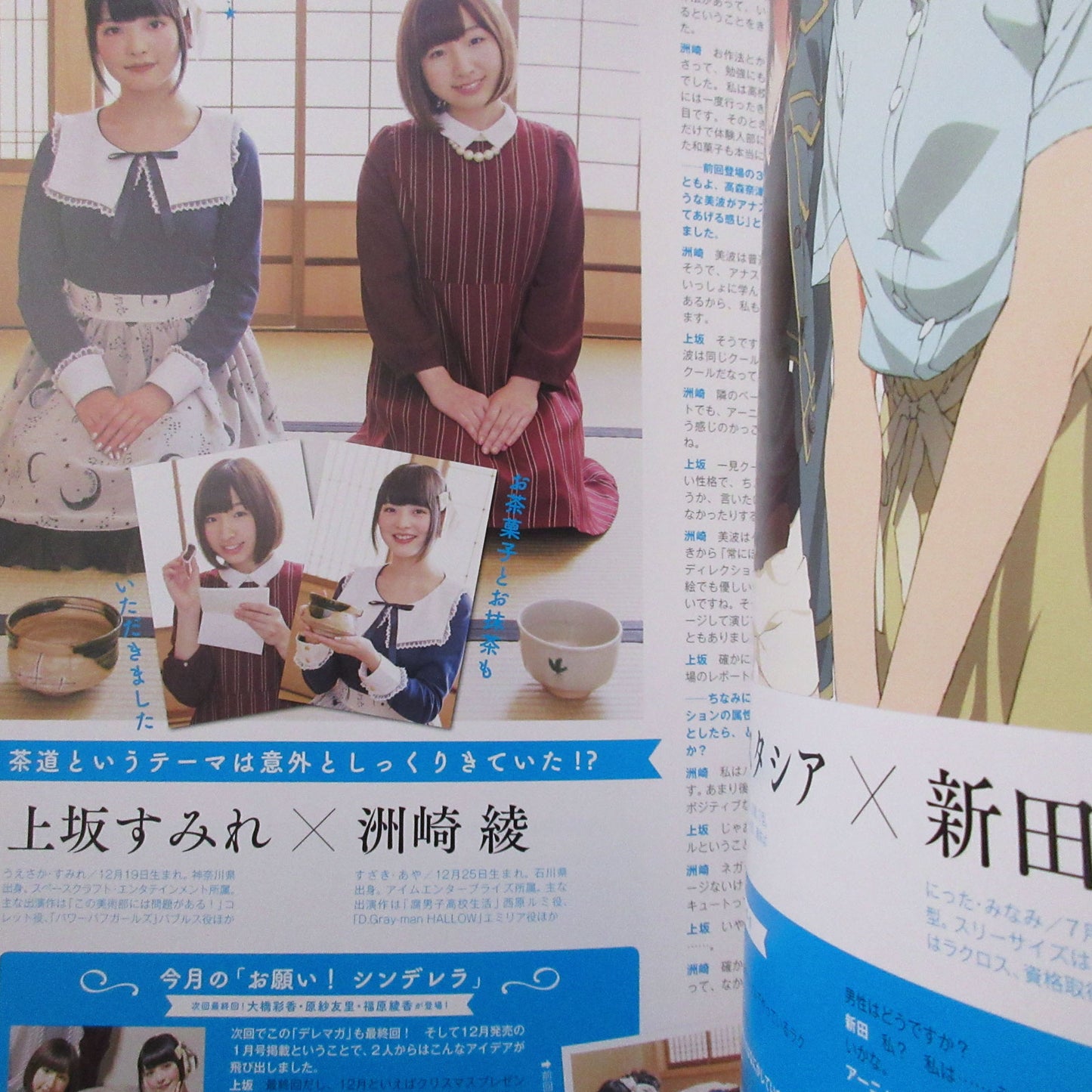 THE IDOLMASTER CINDERELLA GIRLS VISUAL FAN BOOK