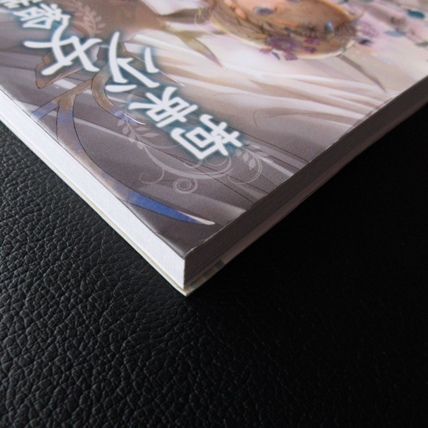 Restraint Girl Art Book Nobility Edition