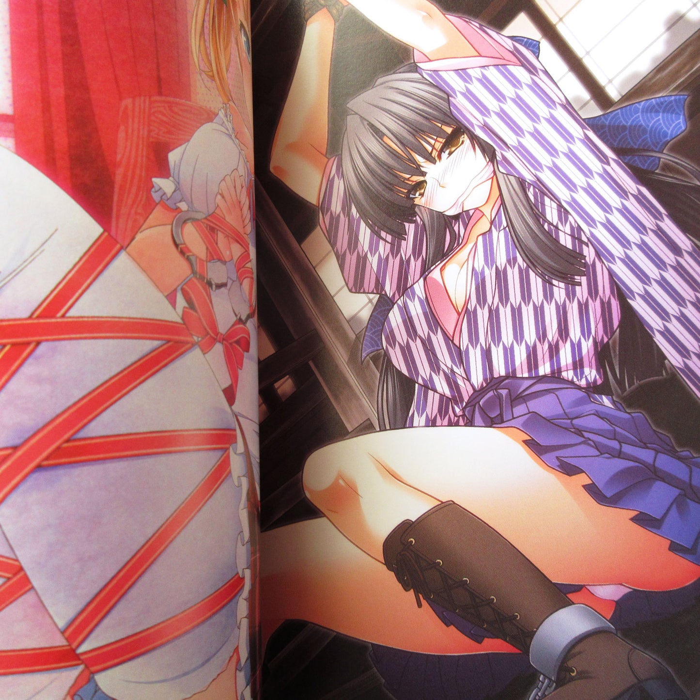 Restraint Girl Art Book Nobility Edition