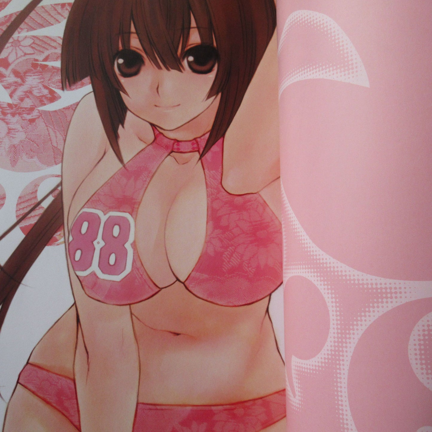 SAKURAKO GOKURAKUIN VISUAL COLLECTION BOOK SEKIREI ENGAGEMENT