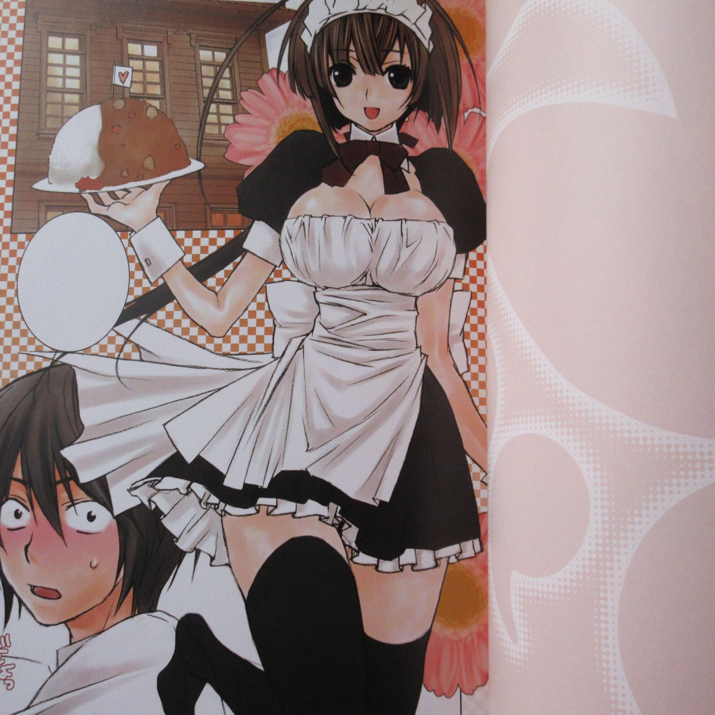 SAKURAKO GOKURAKUIN VISUAL COLLECTION BOOK SEKIREI ENGAGEMENT