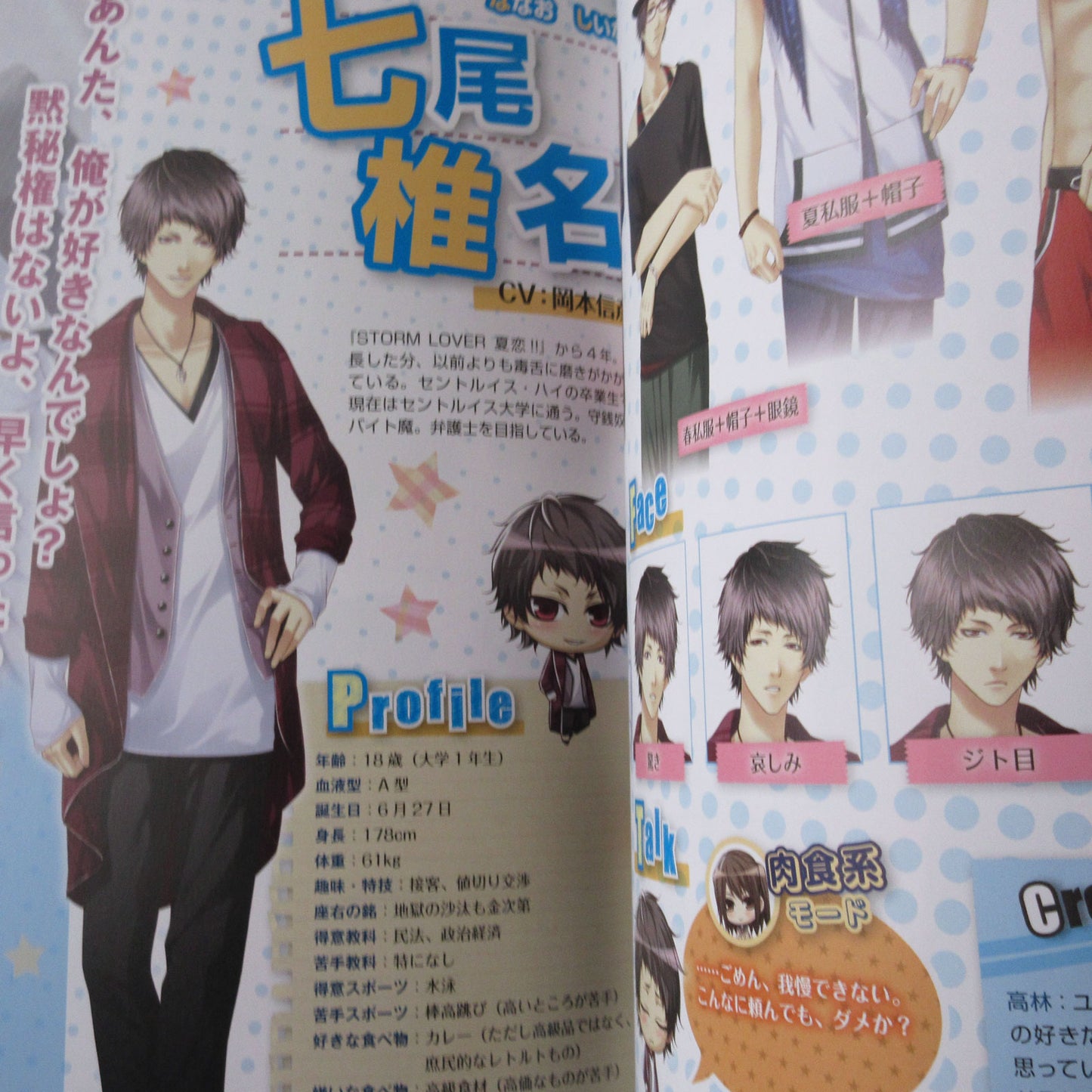 STORM LOVER 2nd Official Visual Fan Book