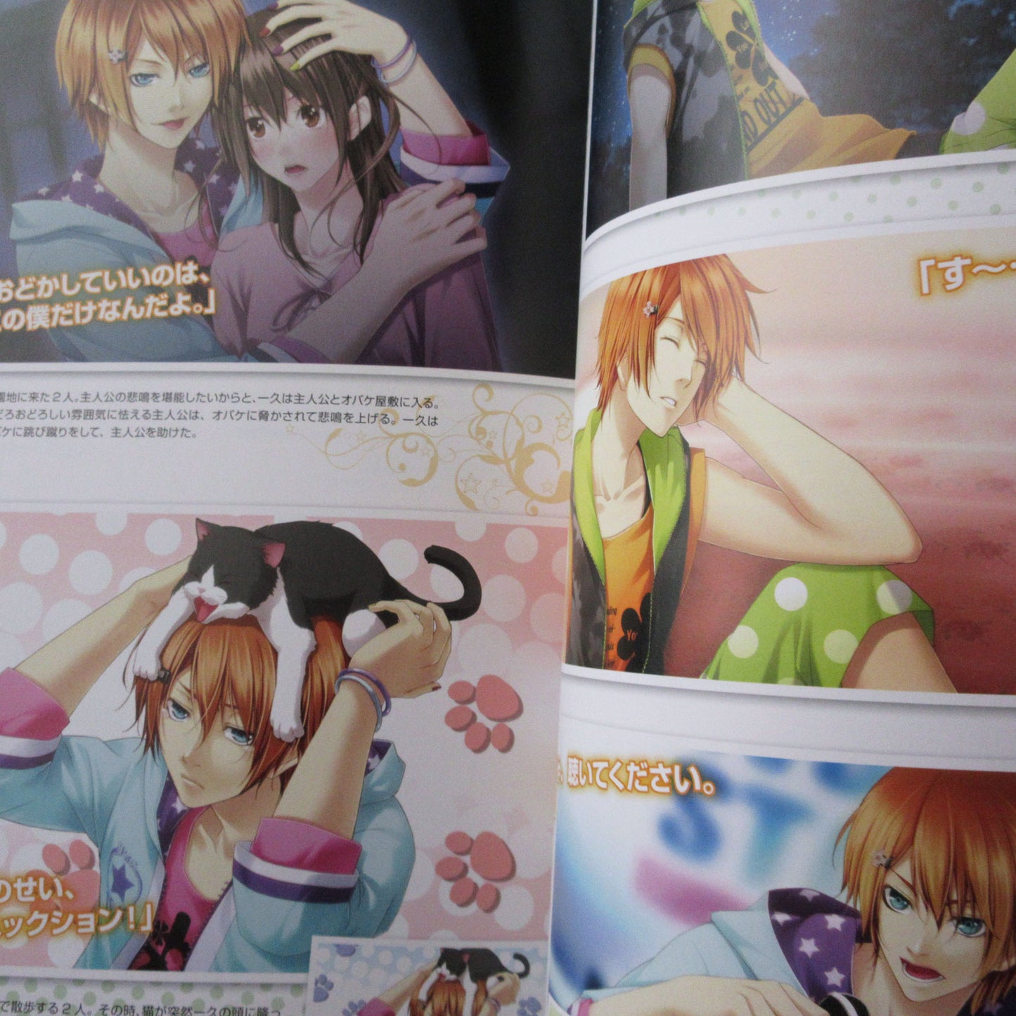 STORM LOVER 2nd Official Visual Fan Book