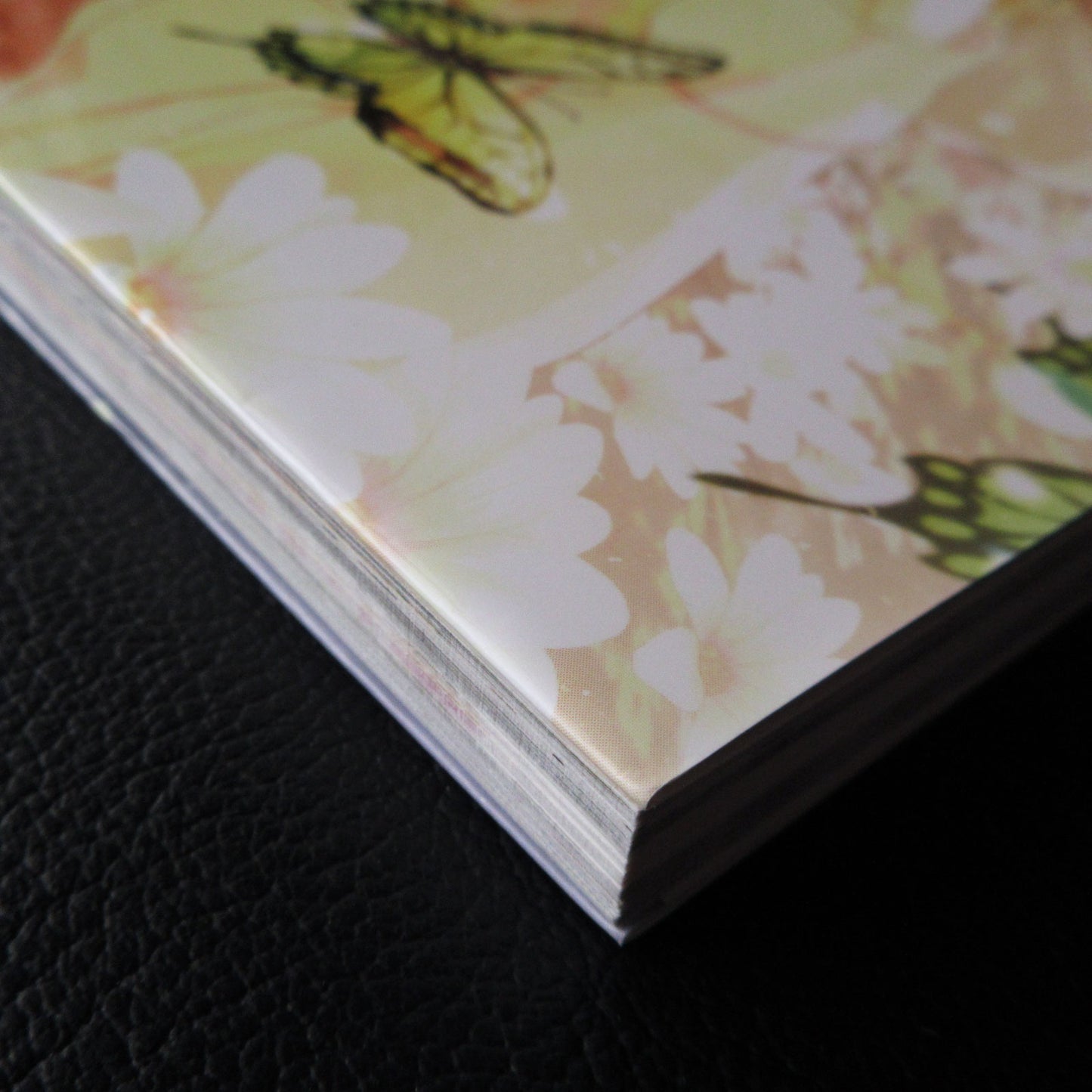 Amnesia Crowd Official Visual Fan Book