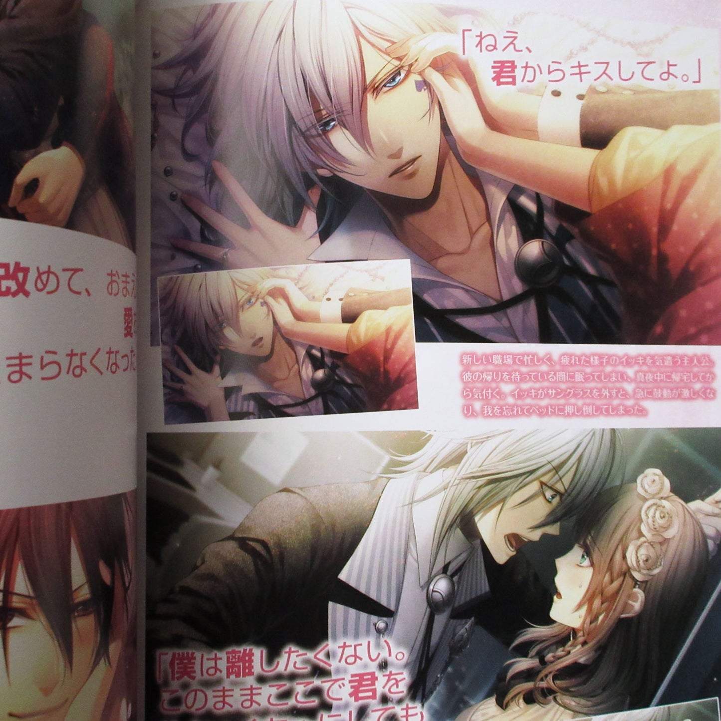 Amnesia Crowd Official Visual Fan Book