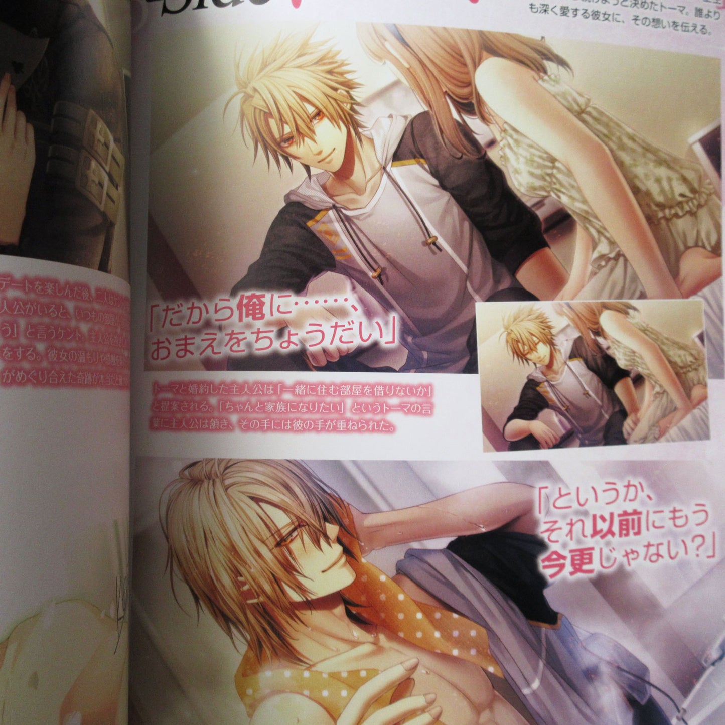 Amnesia Crowd Official Visual Fan Book