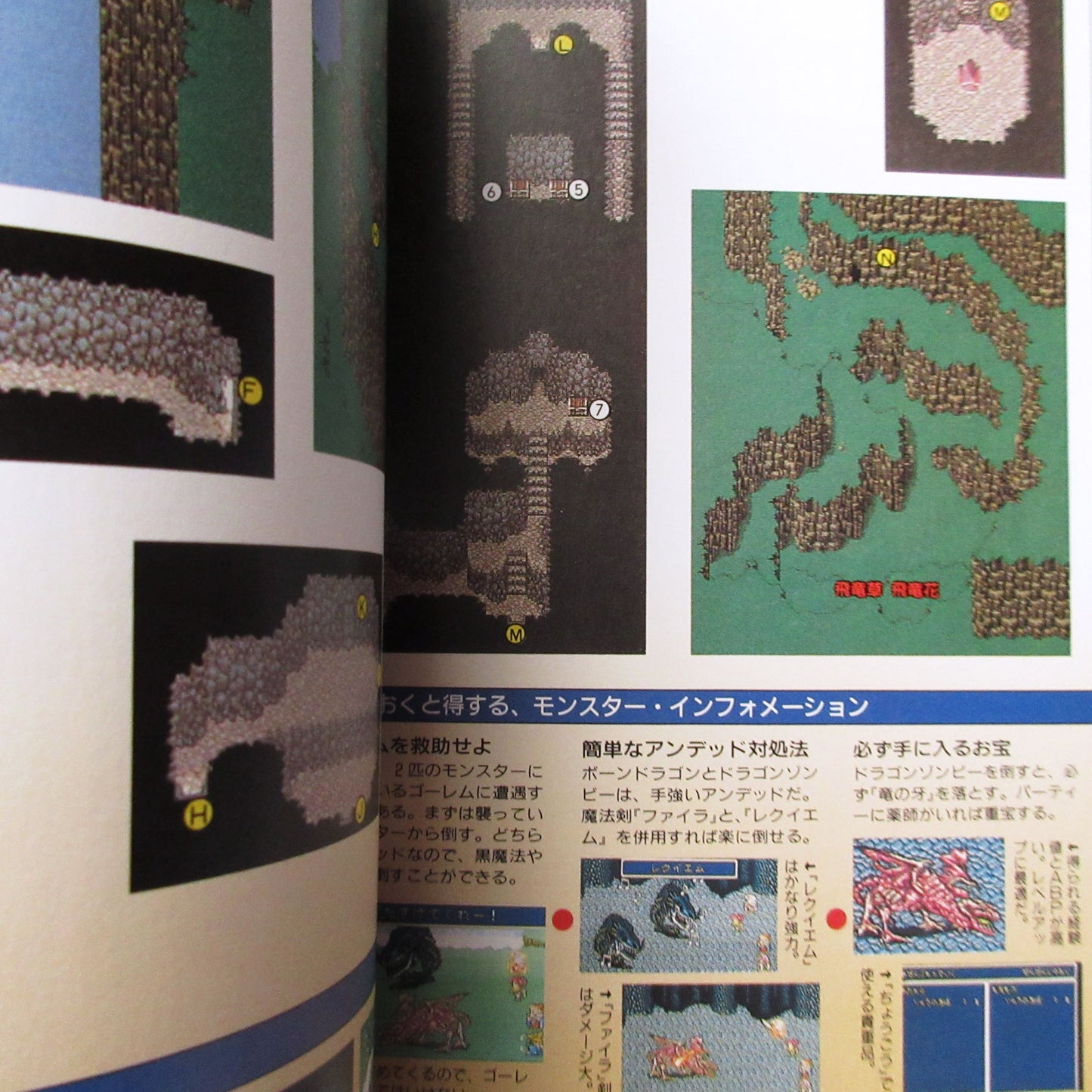 Final Fantasy 5 Perfect Conquest