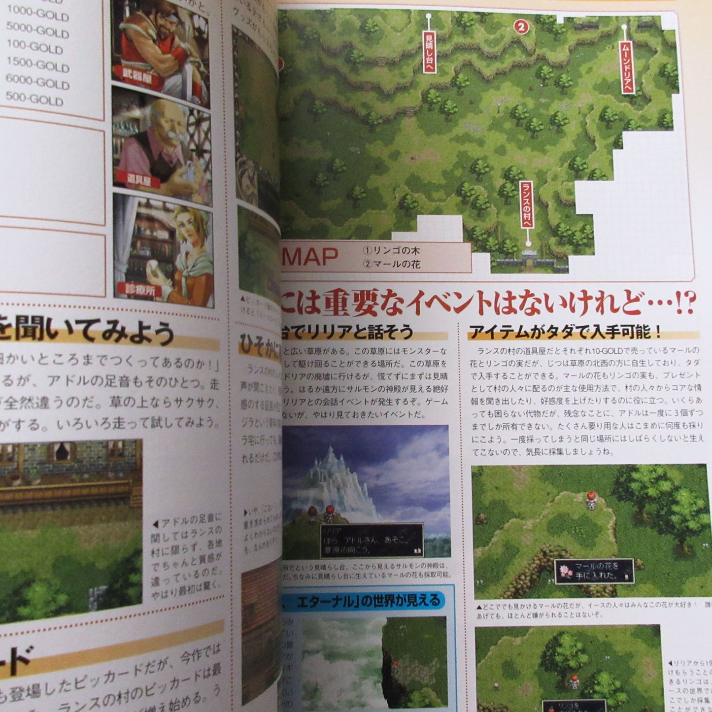 Ys 2 ETERNAL OFFICIAL VISUAL BOOK