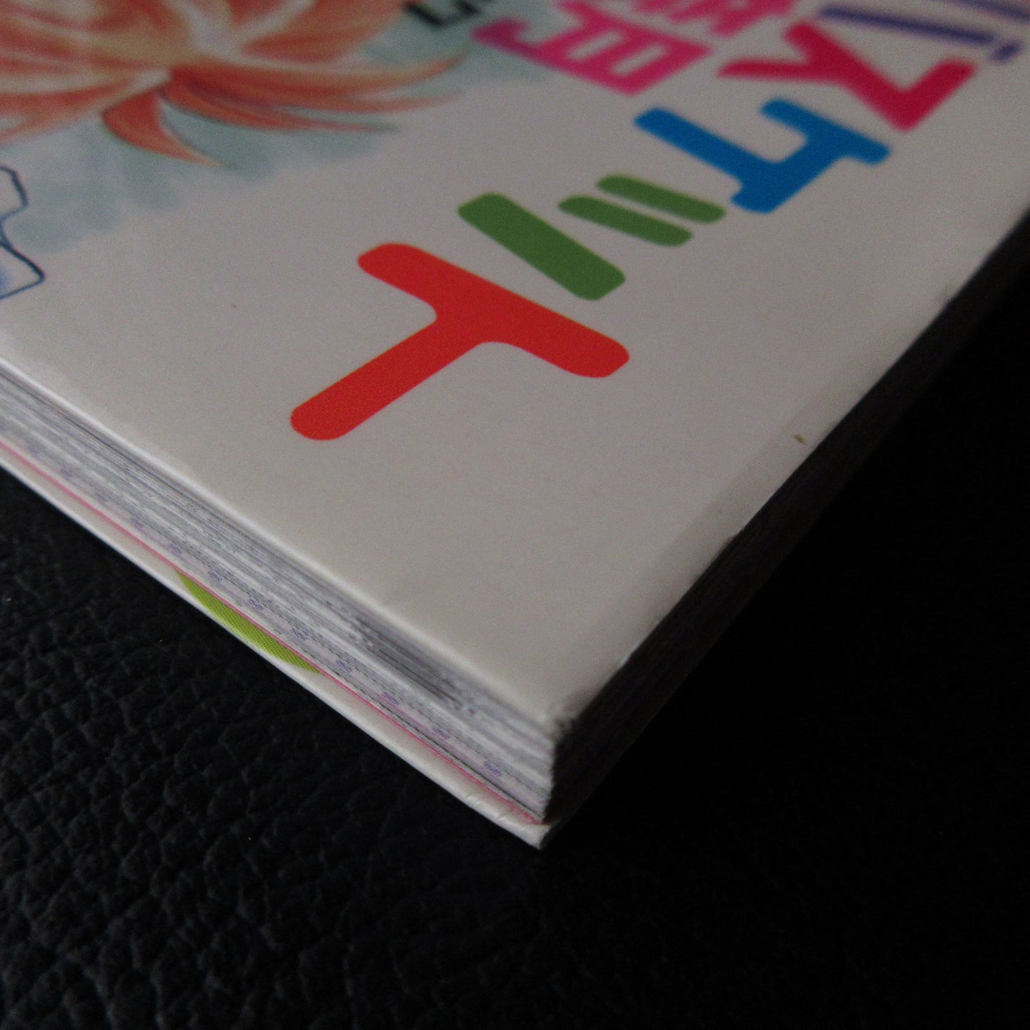 Natsuki Takaya "Fruits Basket" Character Book