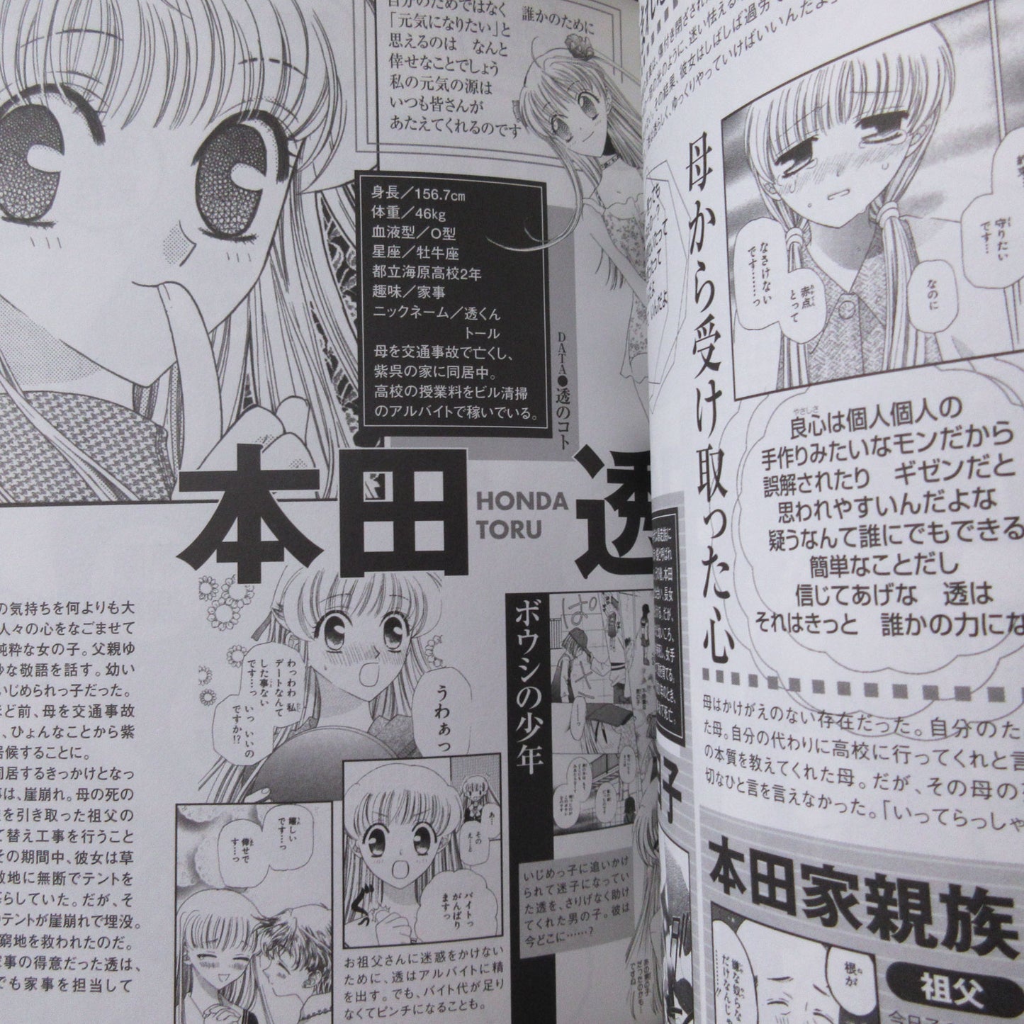 Natsuki Takaya "Fruits Basket" Character Book