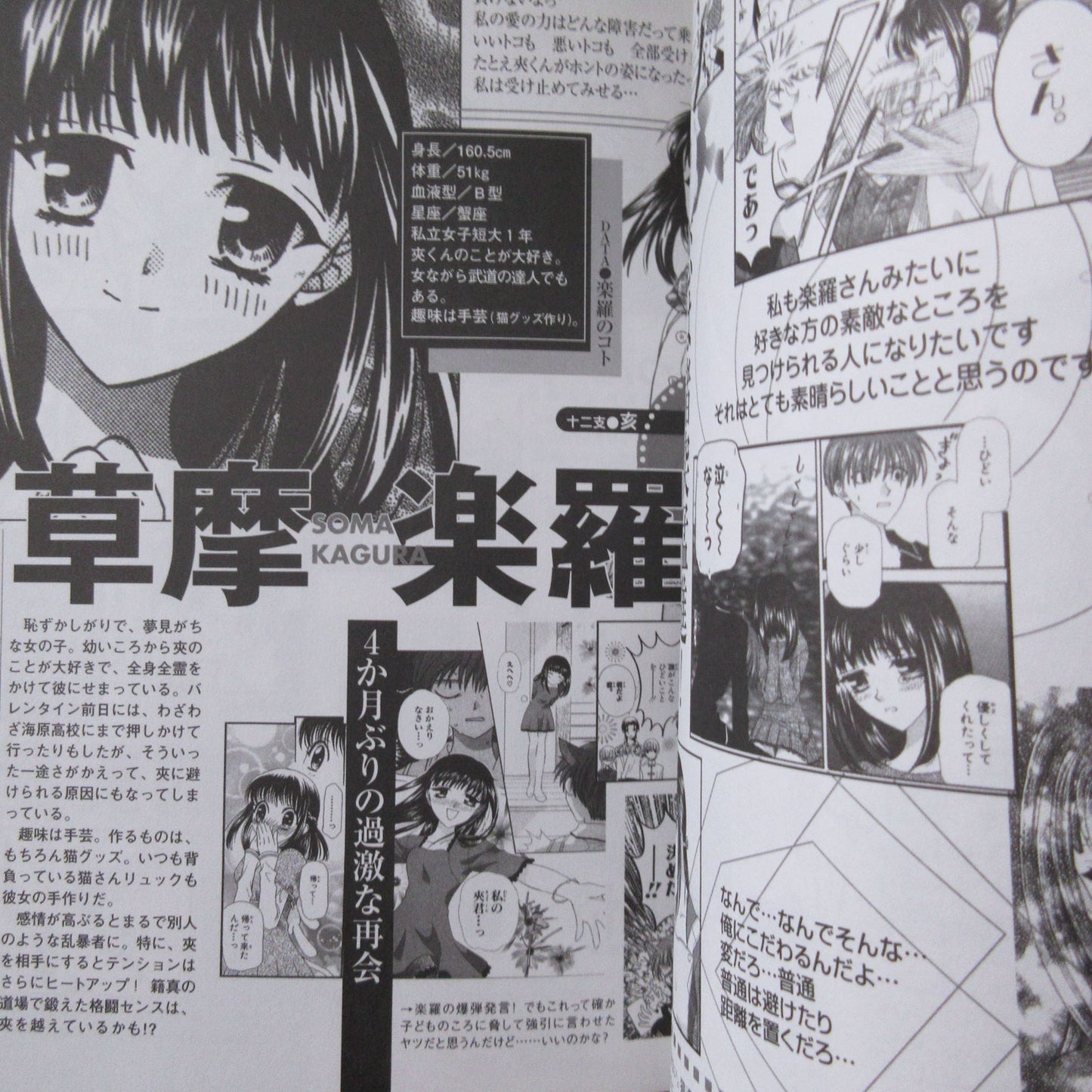 Natsuki Takaya "Fruits Basket" Character Book