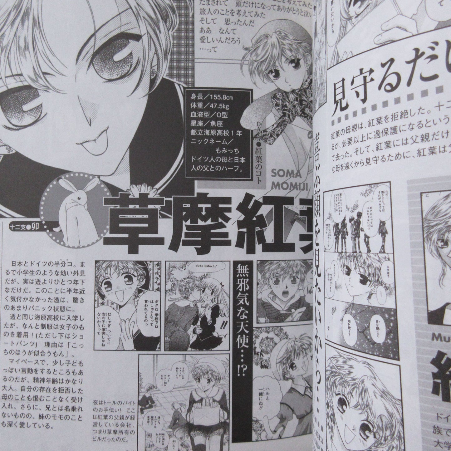 Natsuki Takaya "Fruits Basket" Character Book