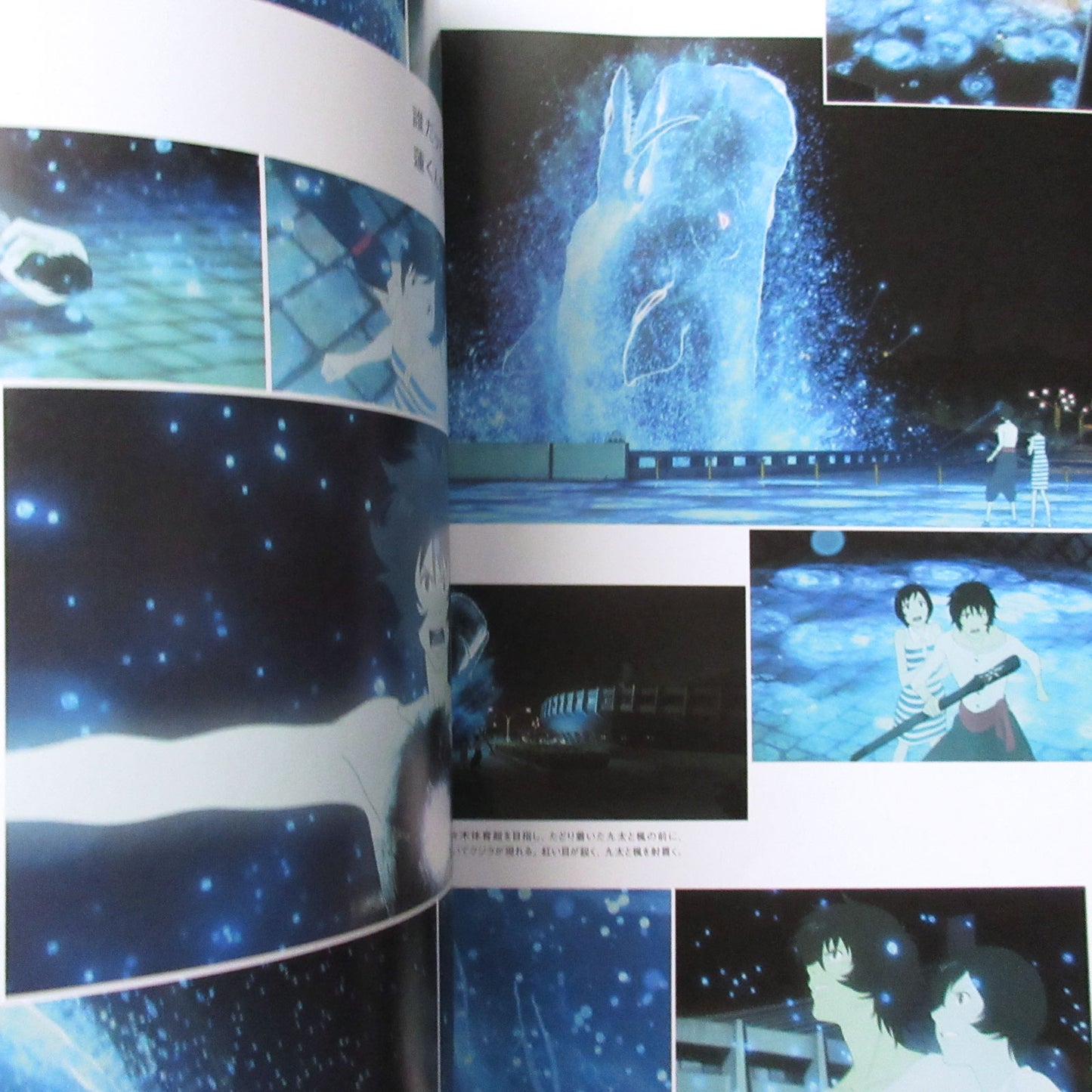 Bakemono no Ko (The Boy and the Beast) Official Guide Book