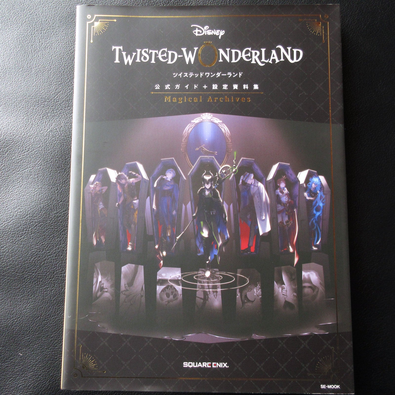 Disney Twisted Wonderland Official Guide + Setting Material