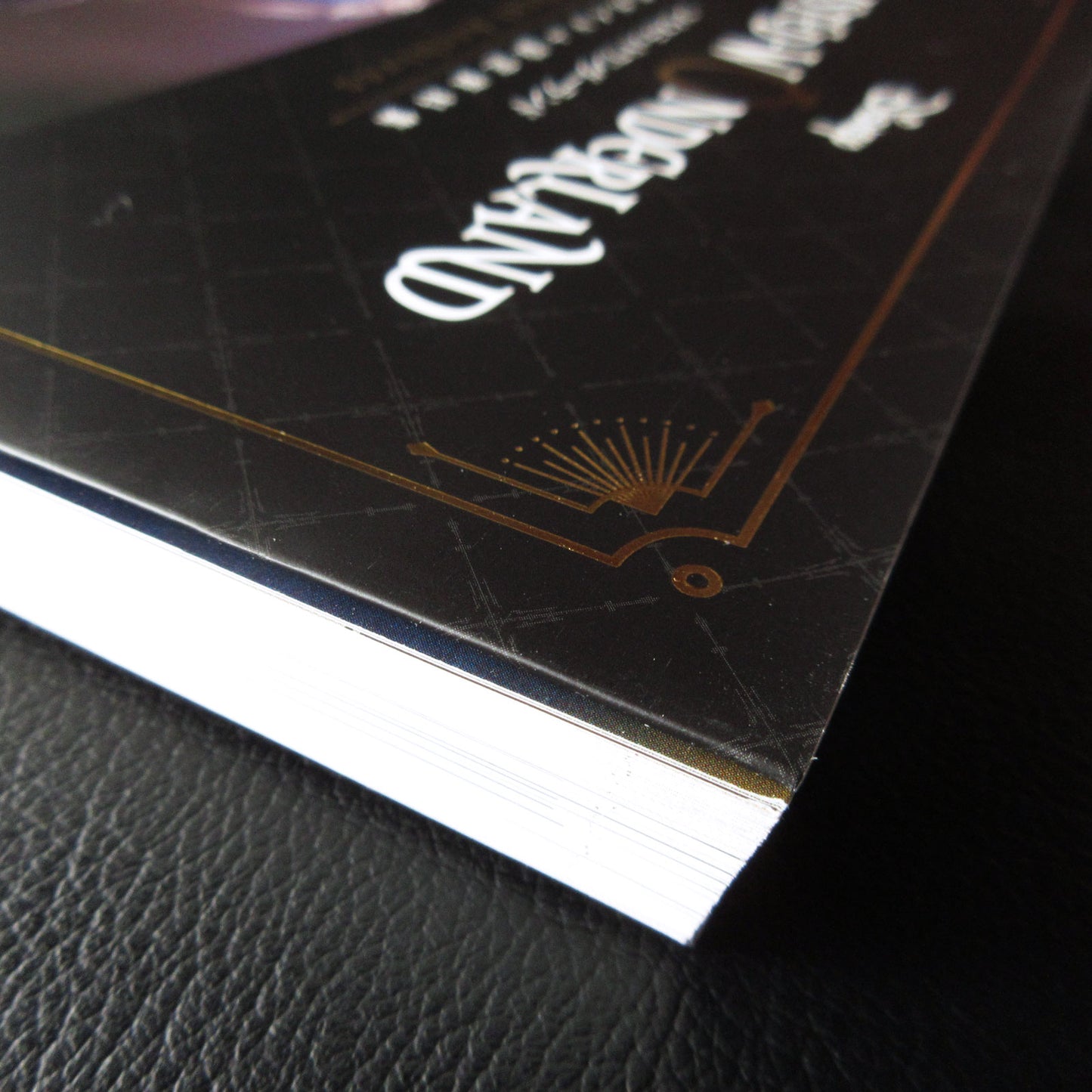 Disney Twisted Wonderland Official Guide + Setting Material Collection "Magical Archives"