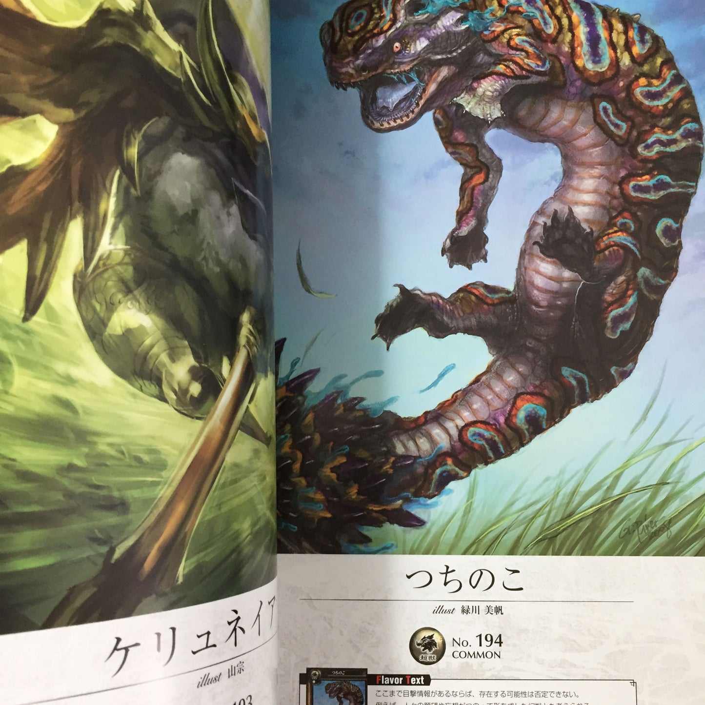 LORD of VERMILION Art Book White