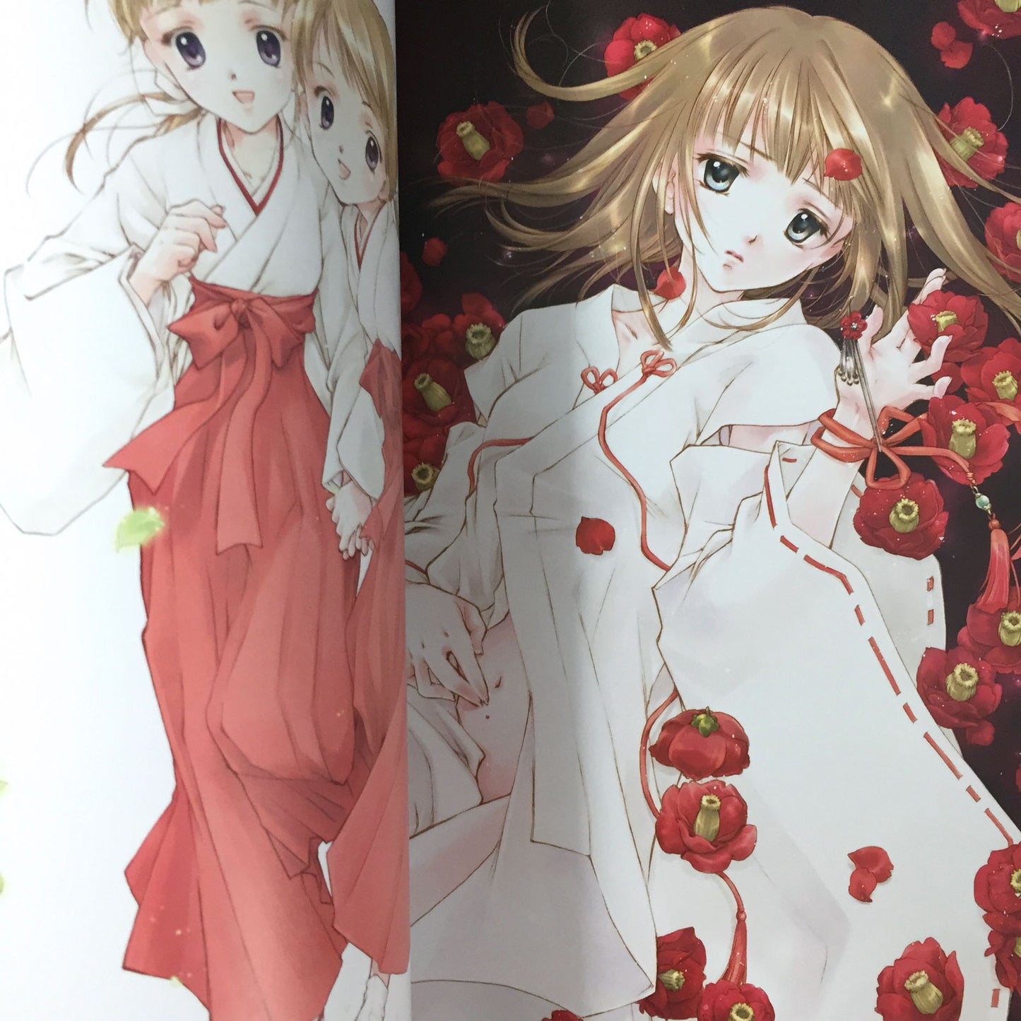 Kaori Minakami Art Book A Jewel Box