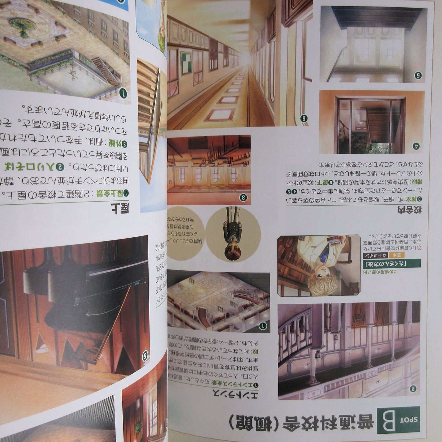 Kiniro no Corda (La Corda d'Oro) Memorial Book