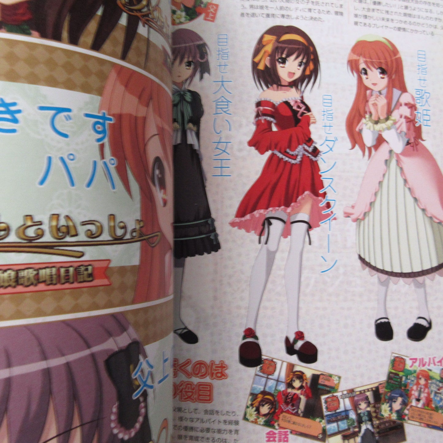 Suzumiya Haruhi no Tomadoi Official Fan Book
