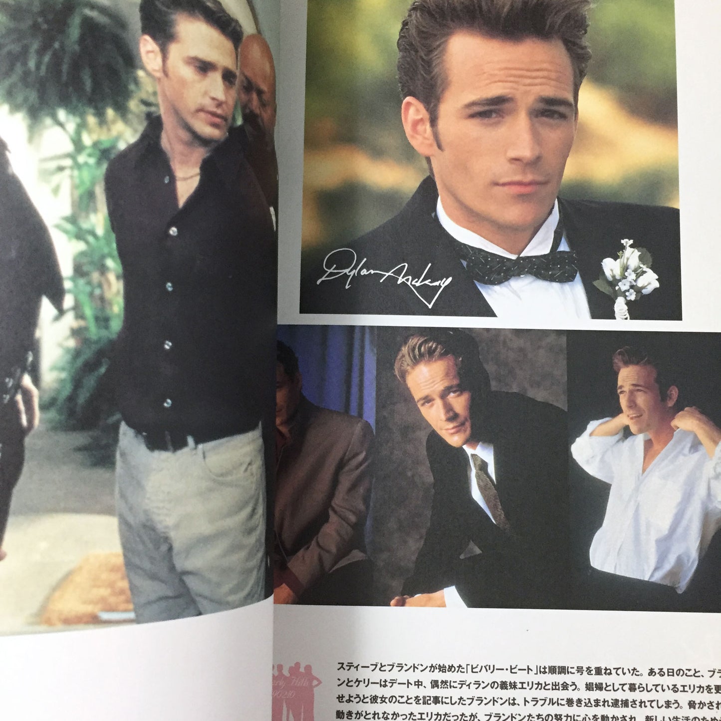 The Official Collection of Photographs Beverly Hills, 90210 Perfect Guide