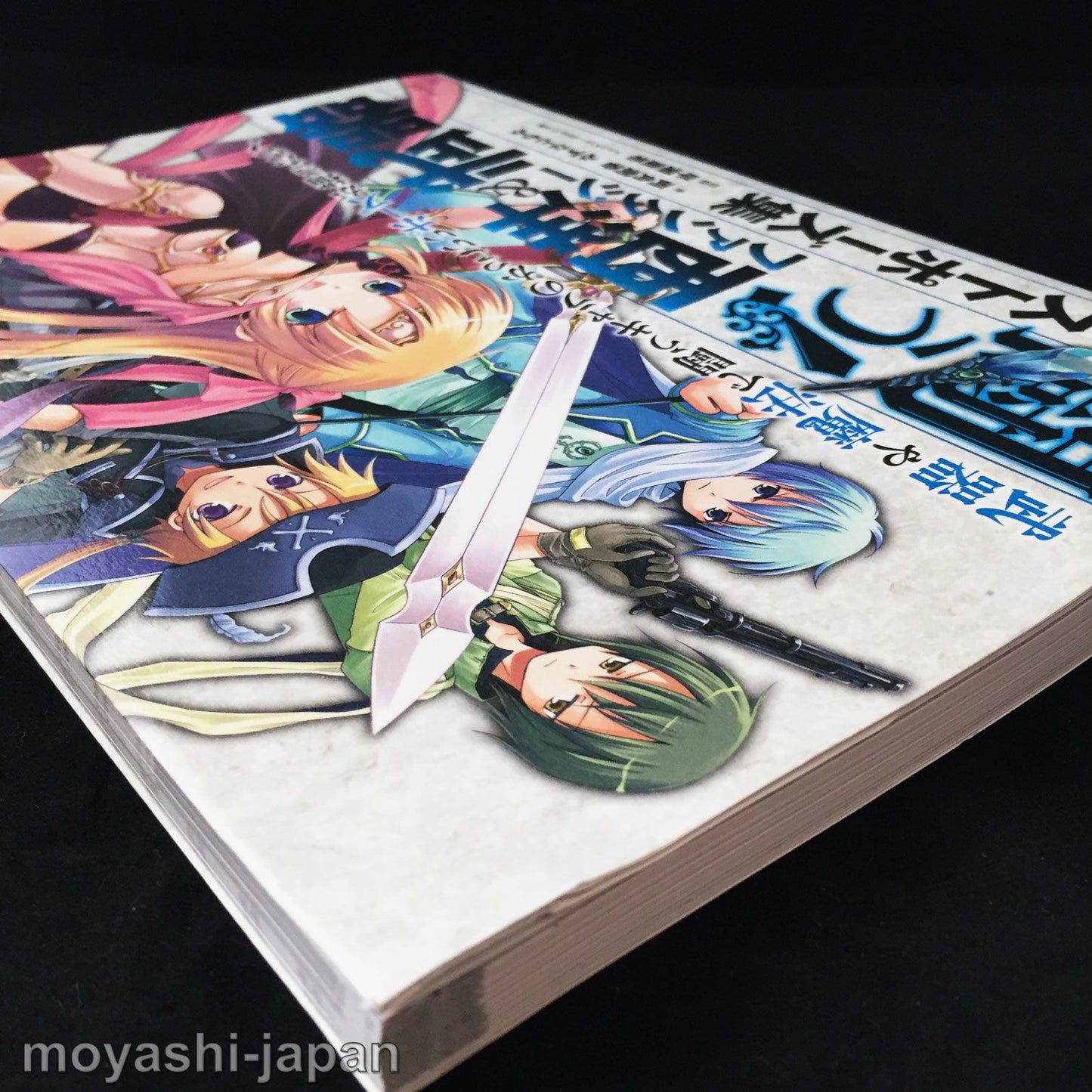 Fight! Western & Fantasy Weapon Illustration Pose Collection