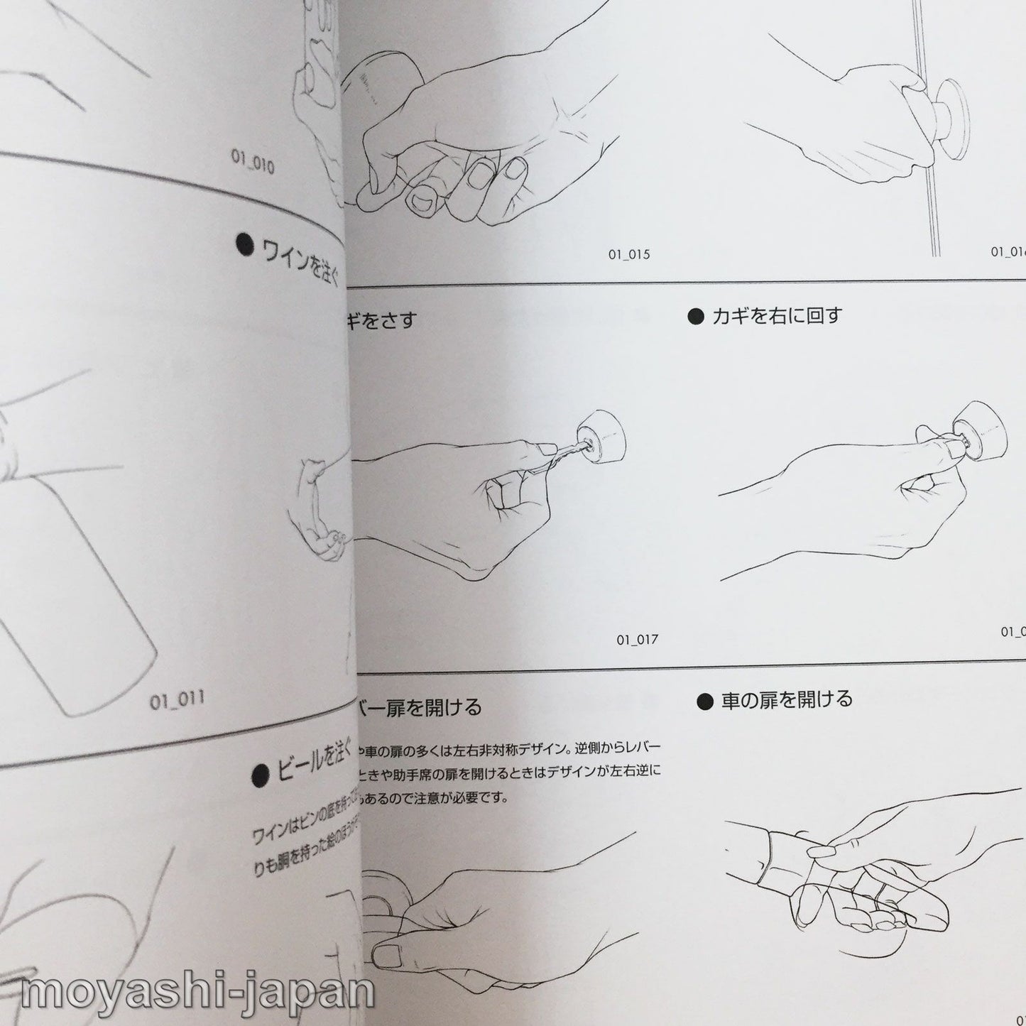 700 Ready-to-Use Hand Expression w/CD-ROM
