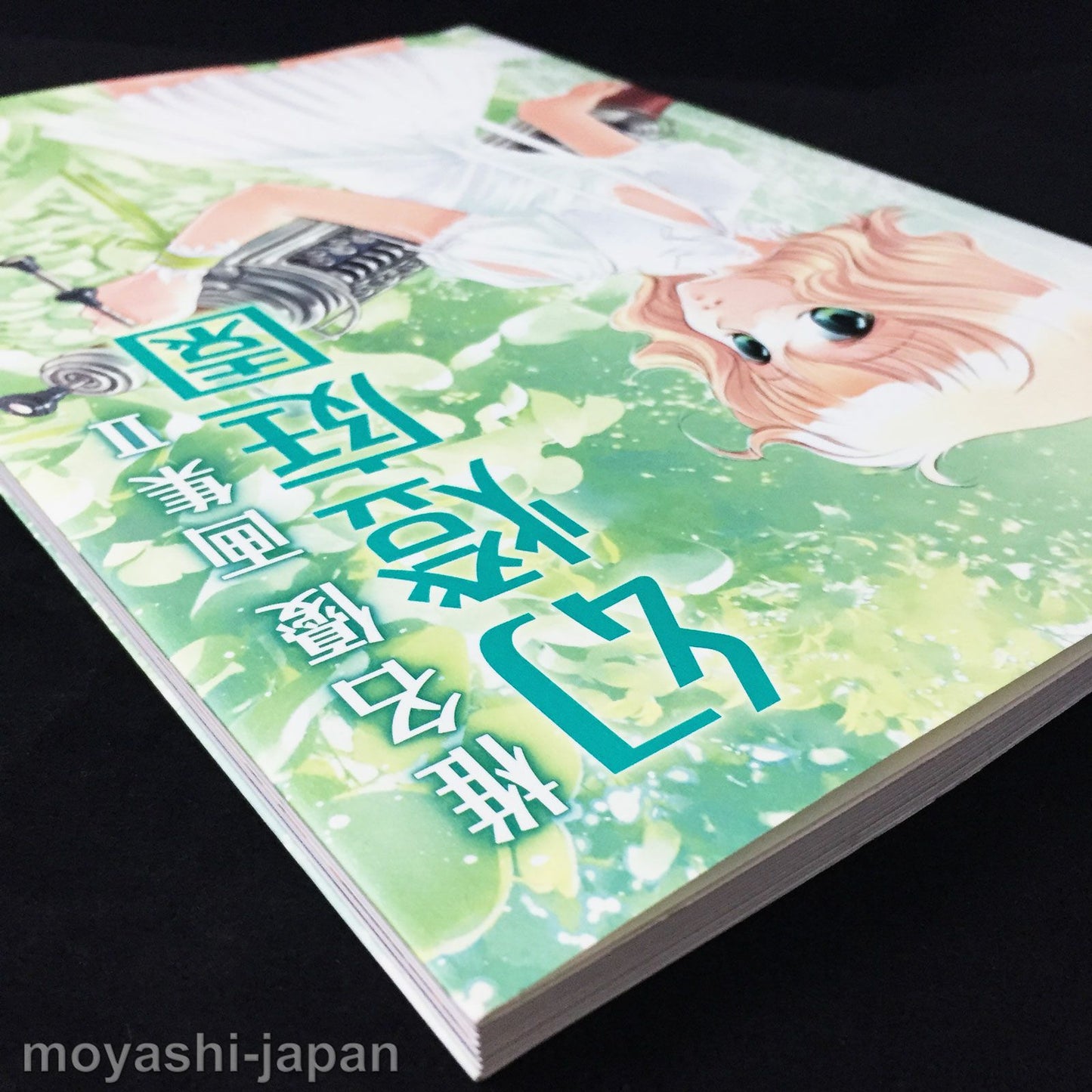 Yuu Shiina Art Book 2 'Gento Teien'