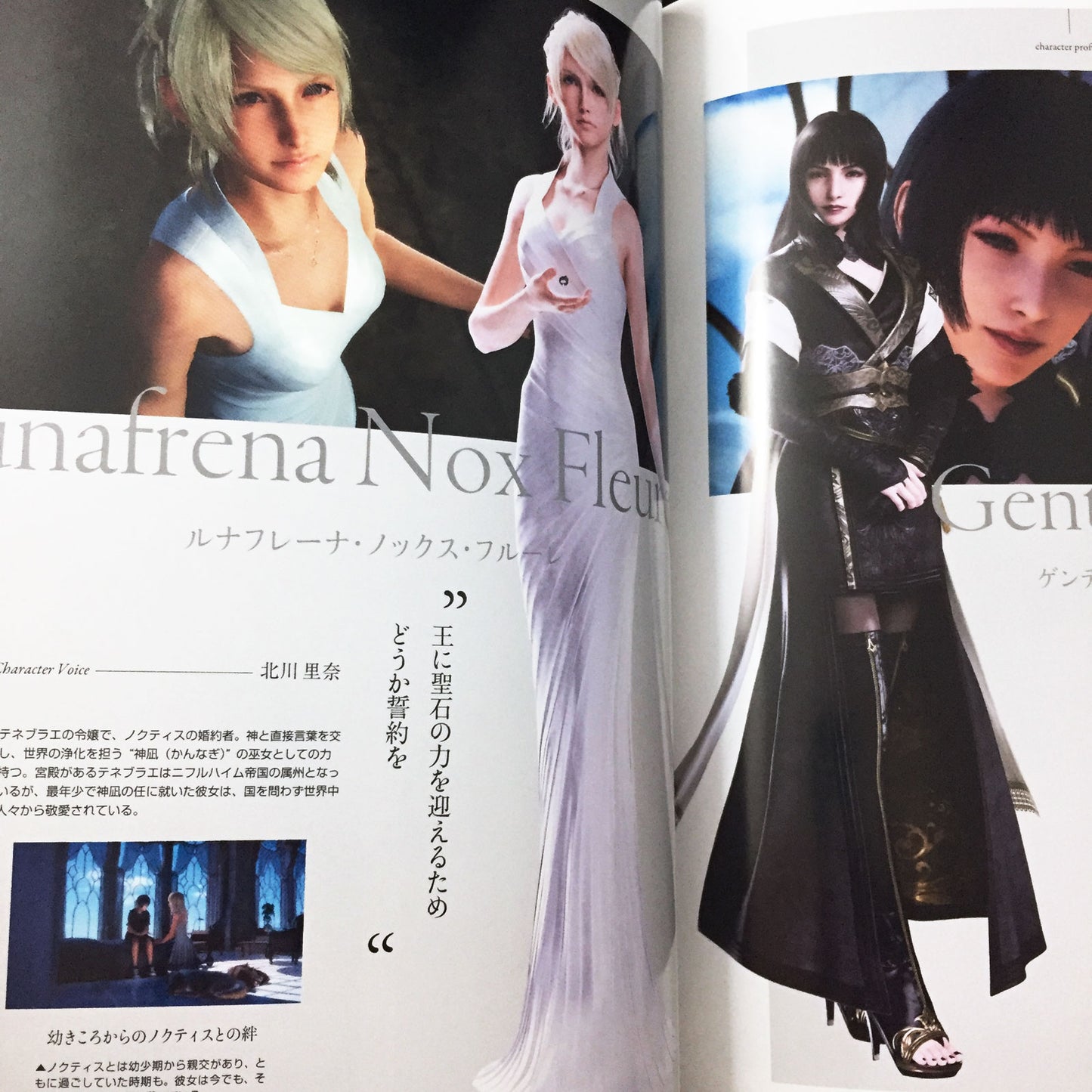 Final Fantasy XV 15 1st Official Guide Book World Prologue