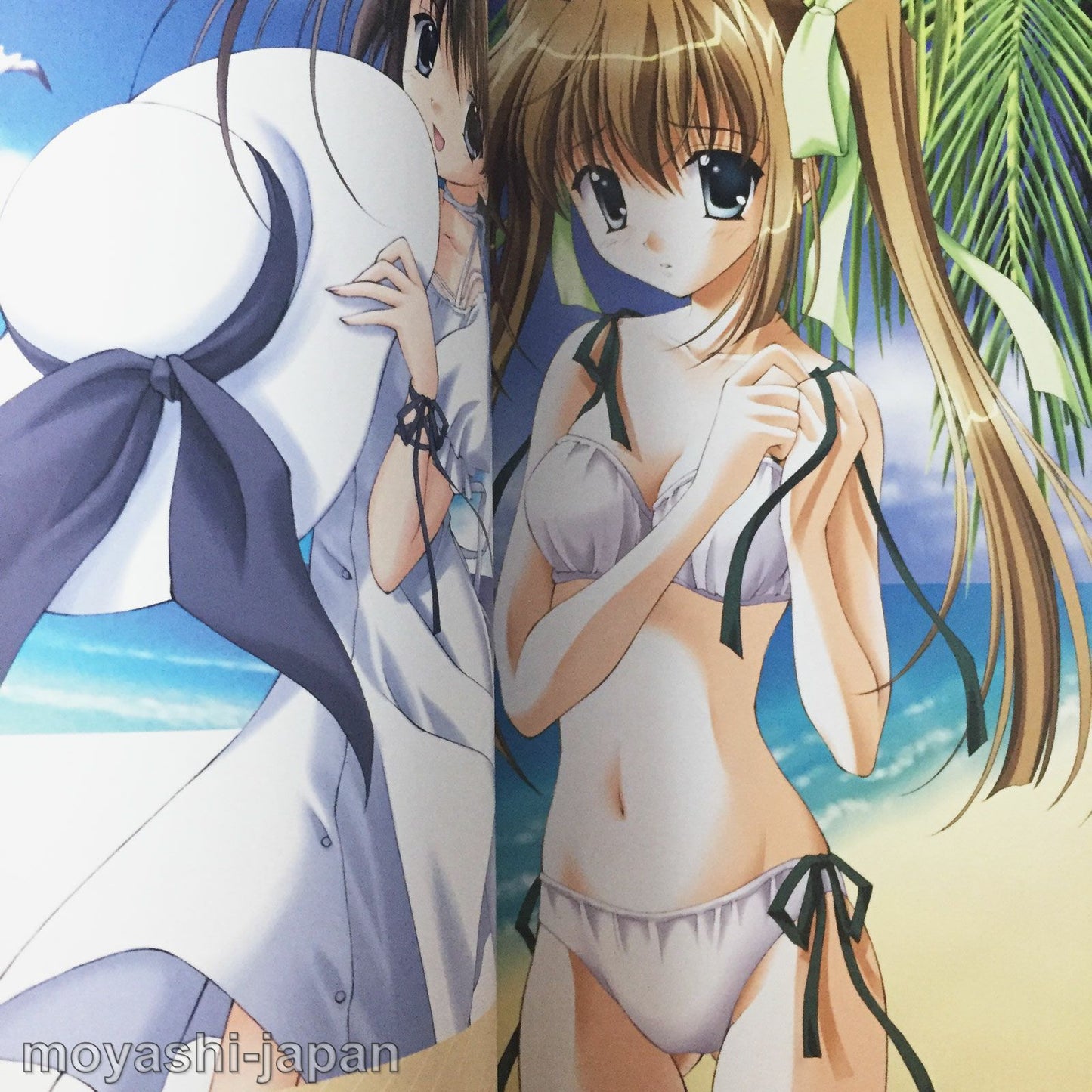 Naru Nanao Illustrations "Nanairo Ice"