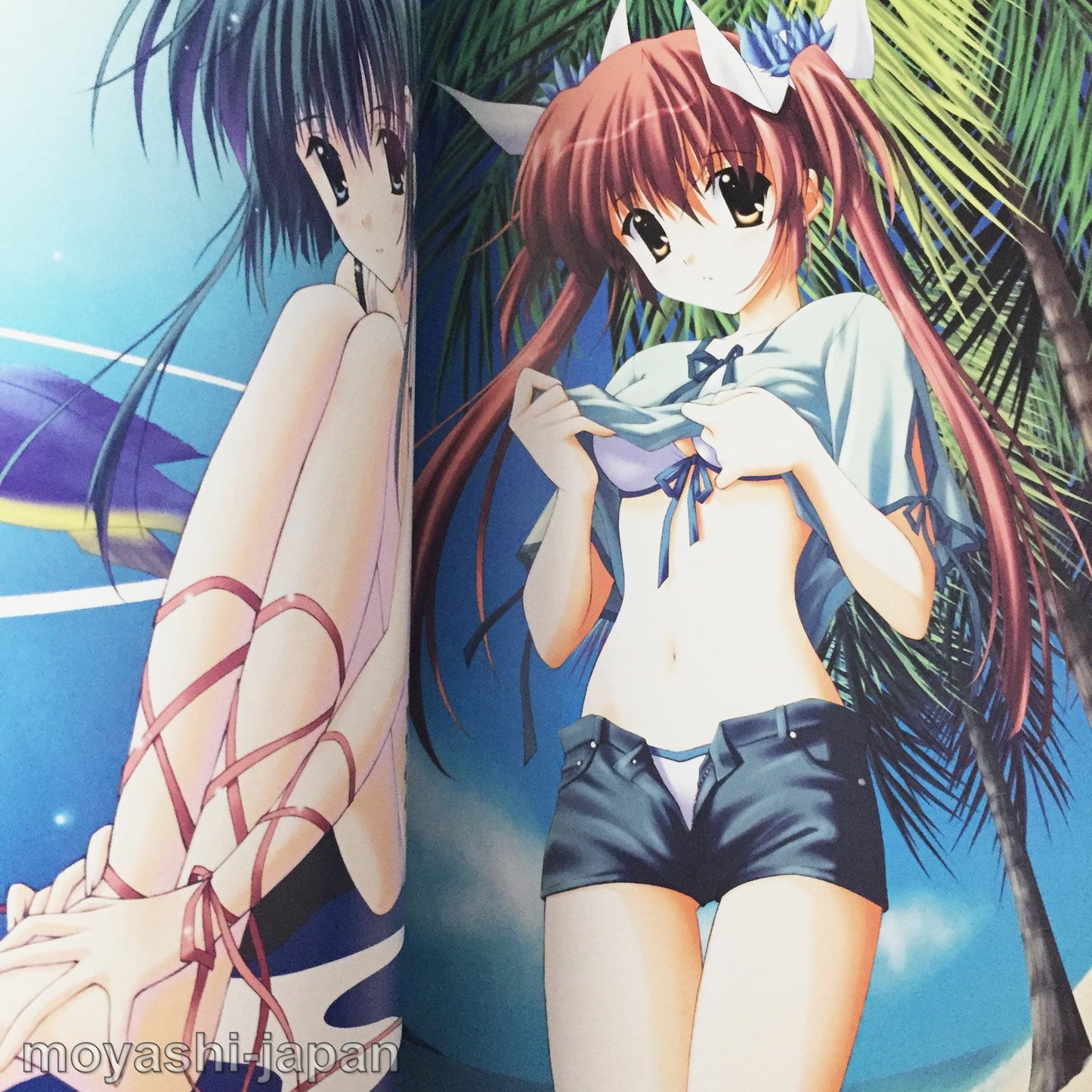 Naru Nanao Illustrations "Nanairo Ice"