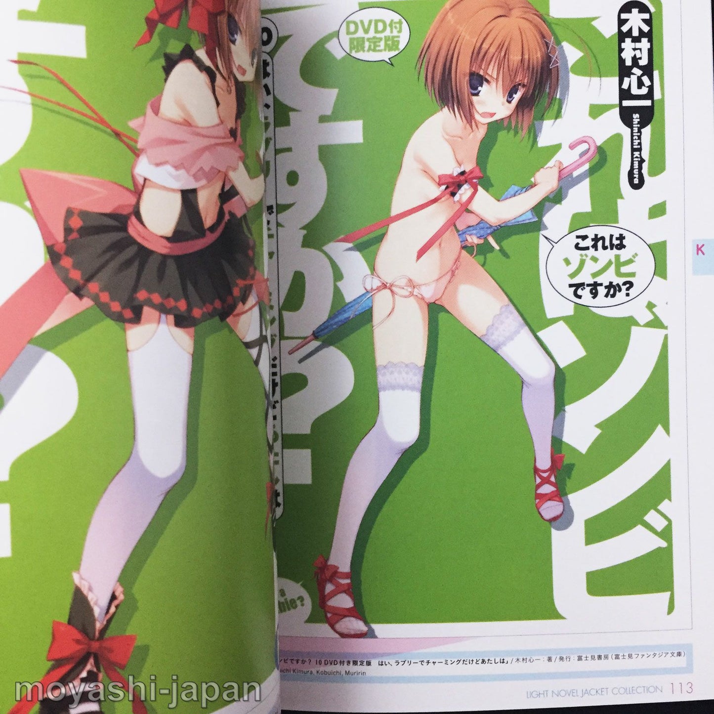 Light Novel Jacket Collection