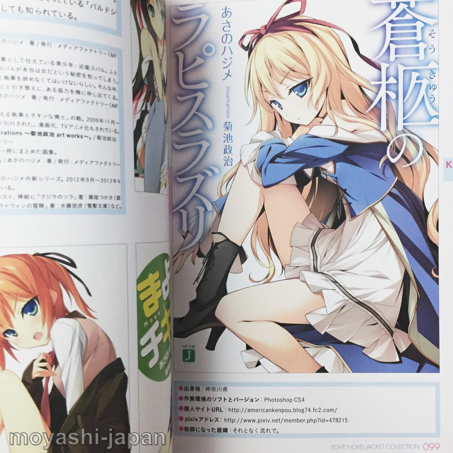 Light Novel Jacket Collection