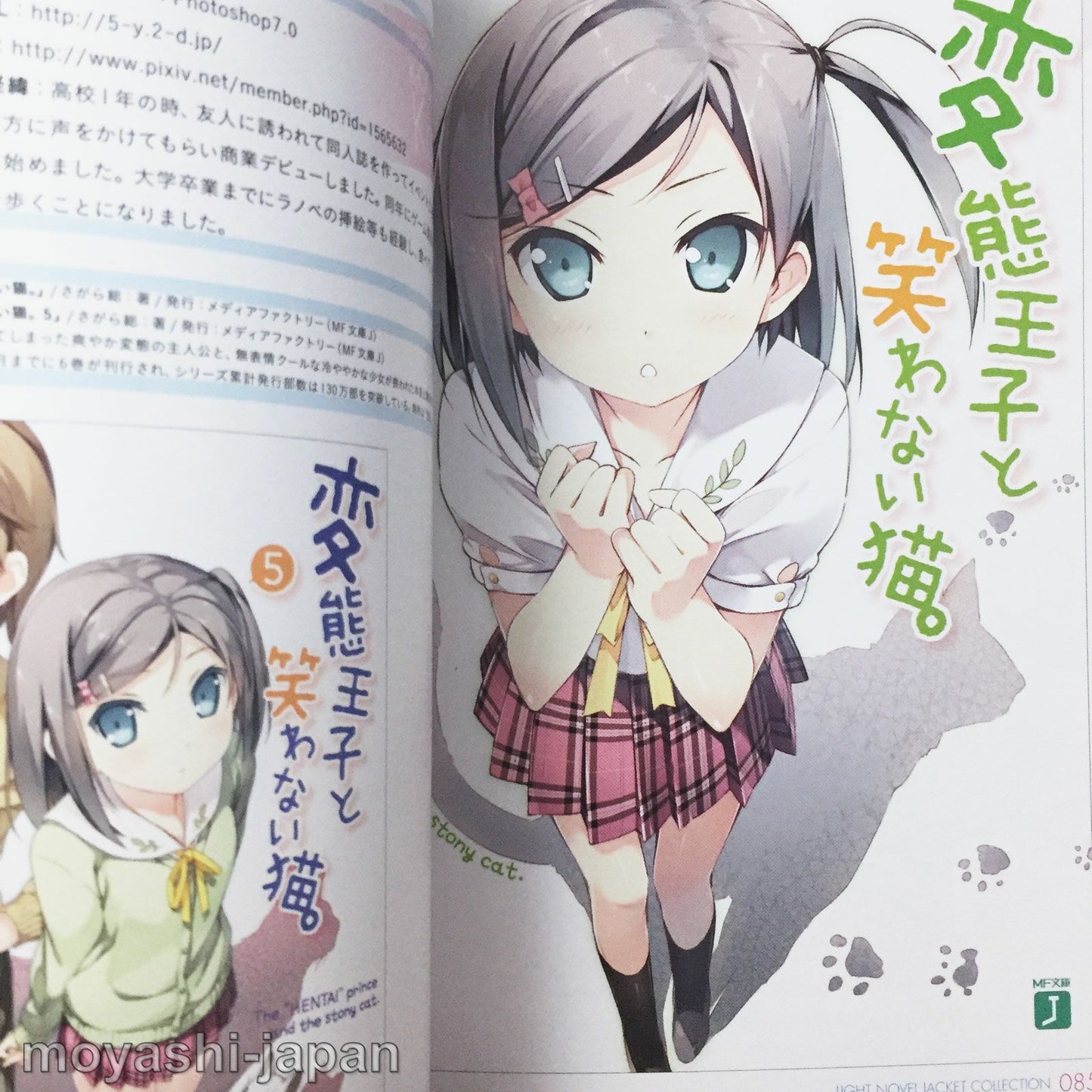 Light Novel Jacket Collection