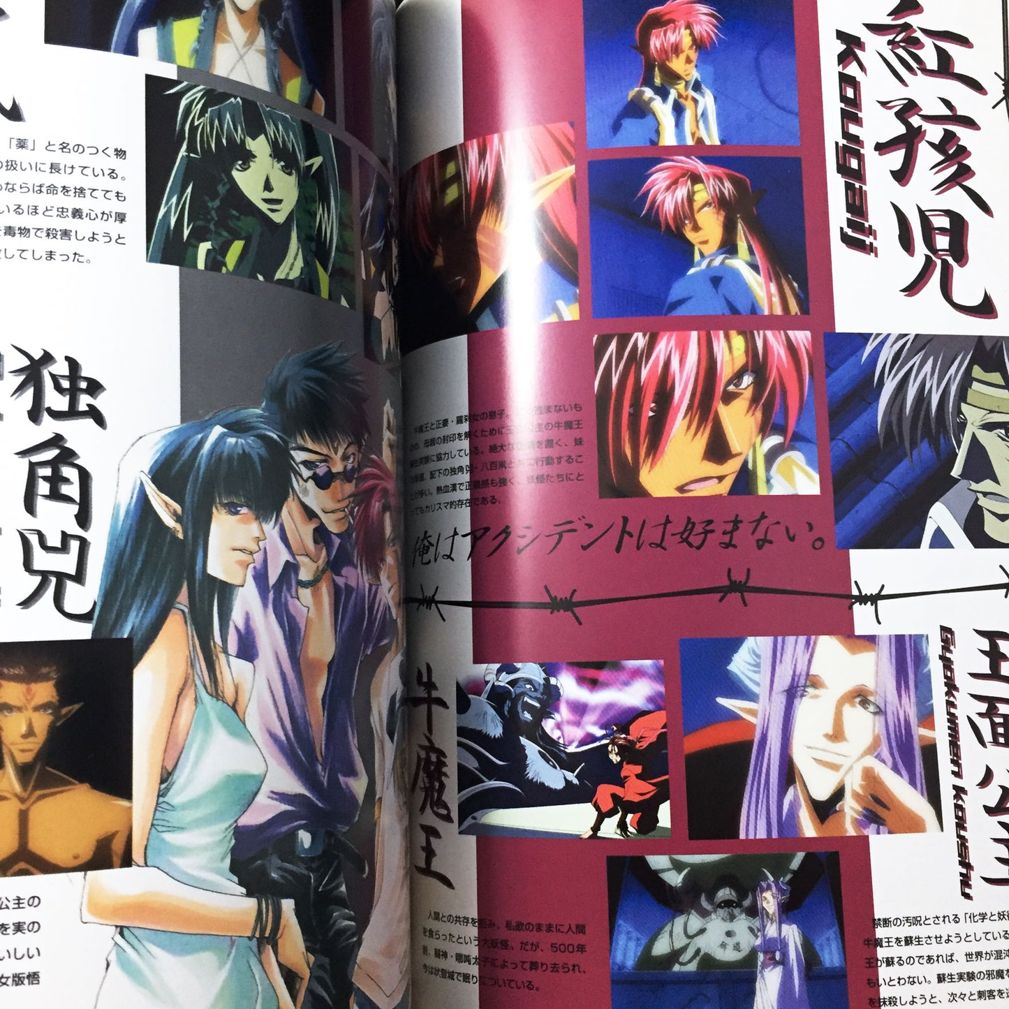 Saiyuki Official Guide Book
