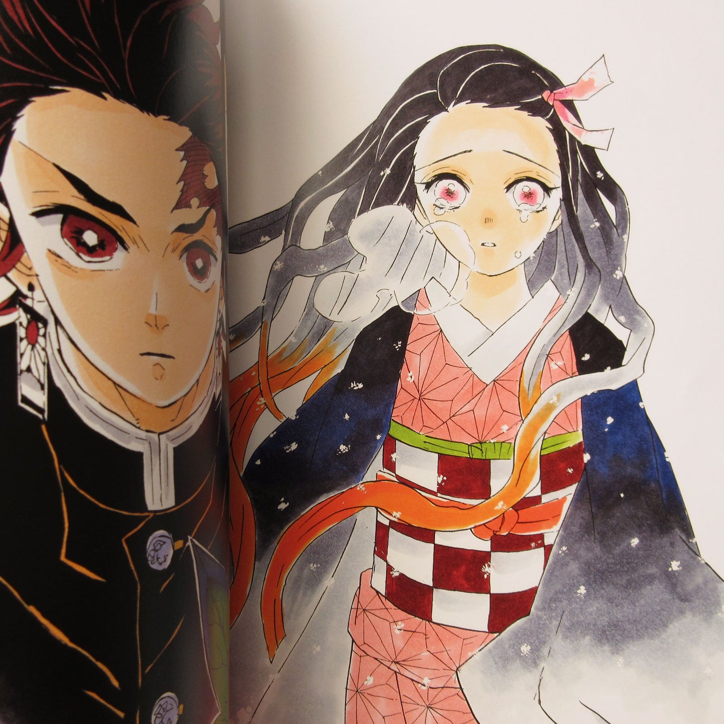 The Art of Demon Slayer: Kimetsu no Yaiba