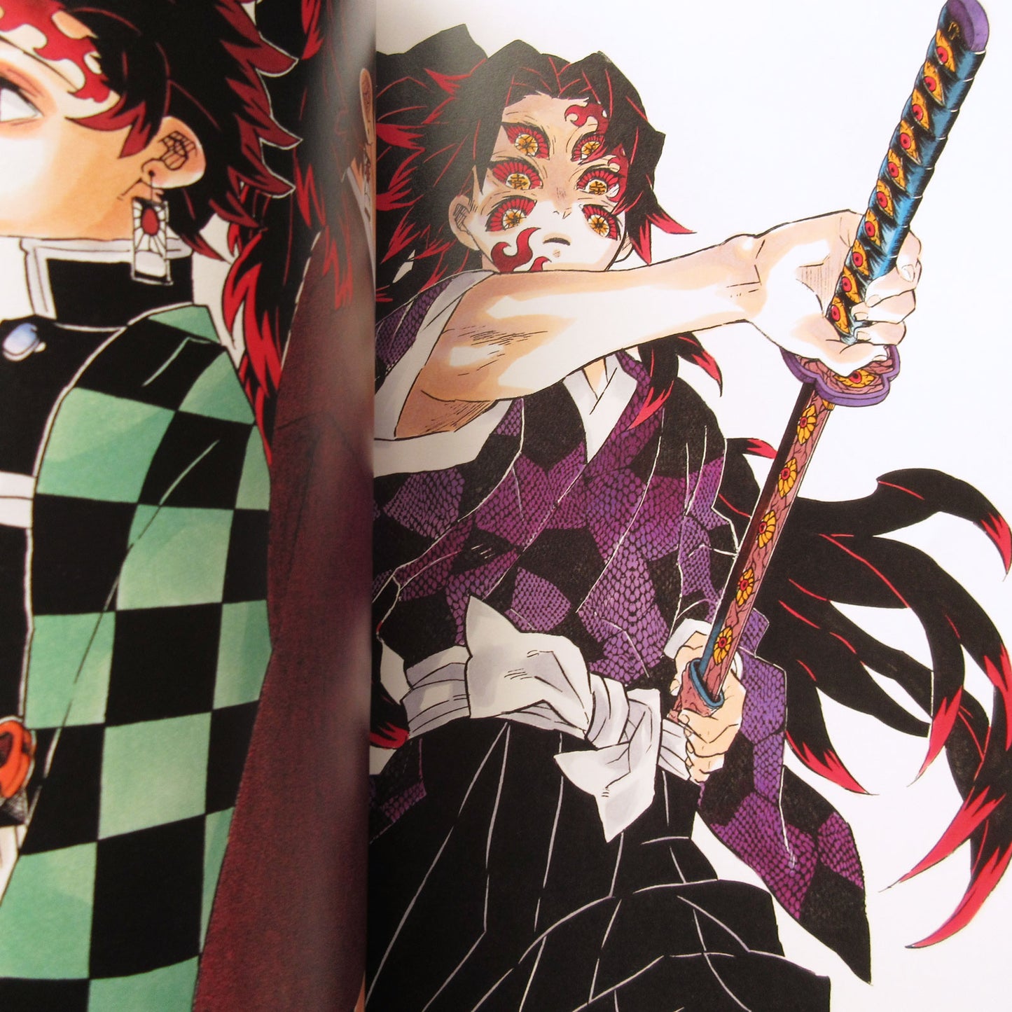 The Art of Demon Slayer: Kimetsu no Yaiba