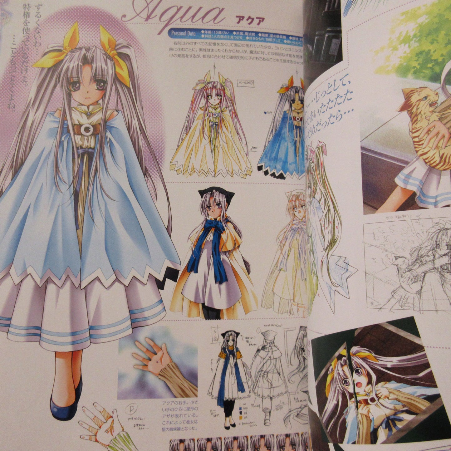 Fantastic Fortune 2 Art Book The World of Azusa Yuhki