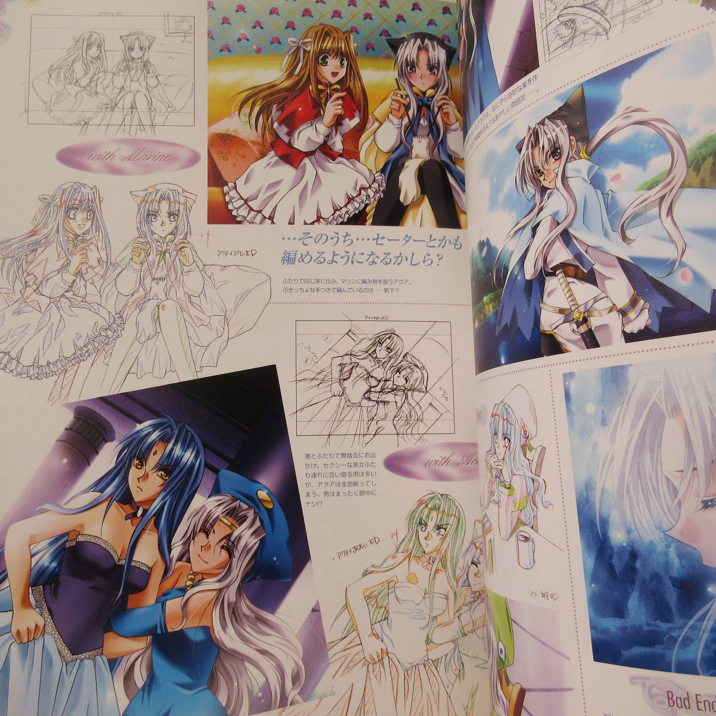 Fantastic Fortune 2 Art Book The World of Azusa Yuhki