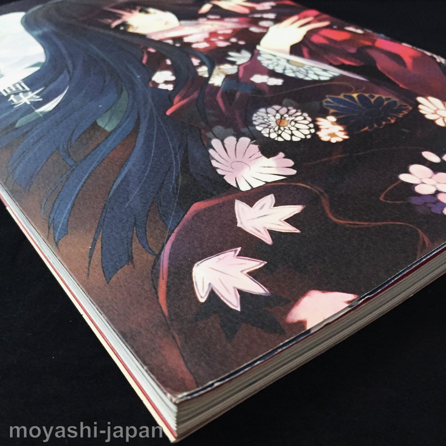 Noriyuki Matsumoto Art Book RIN