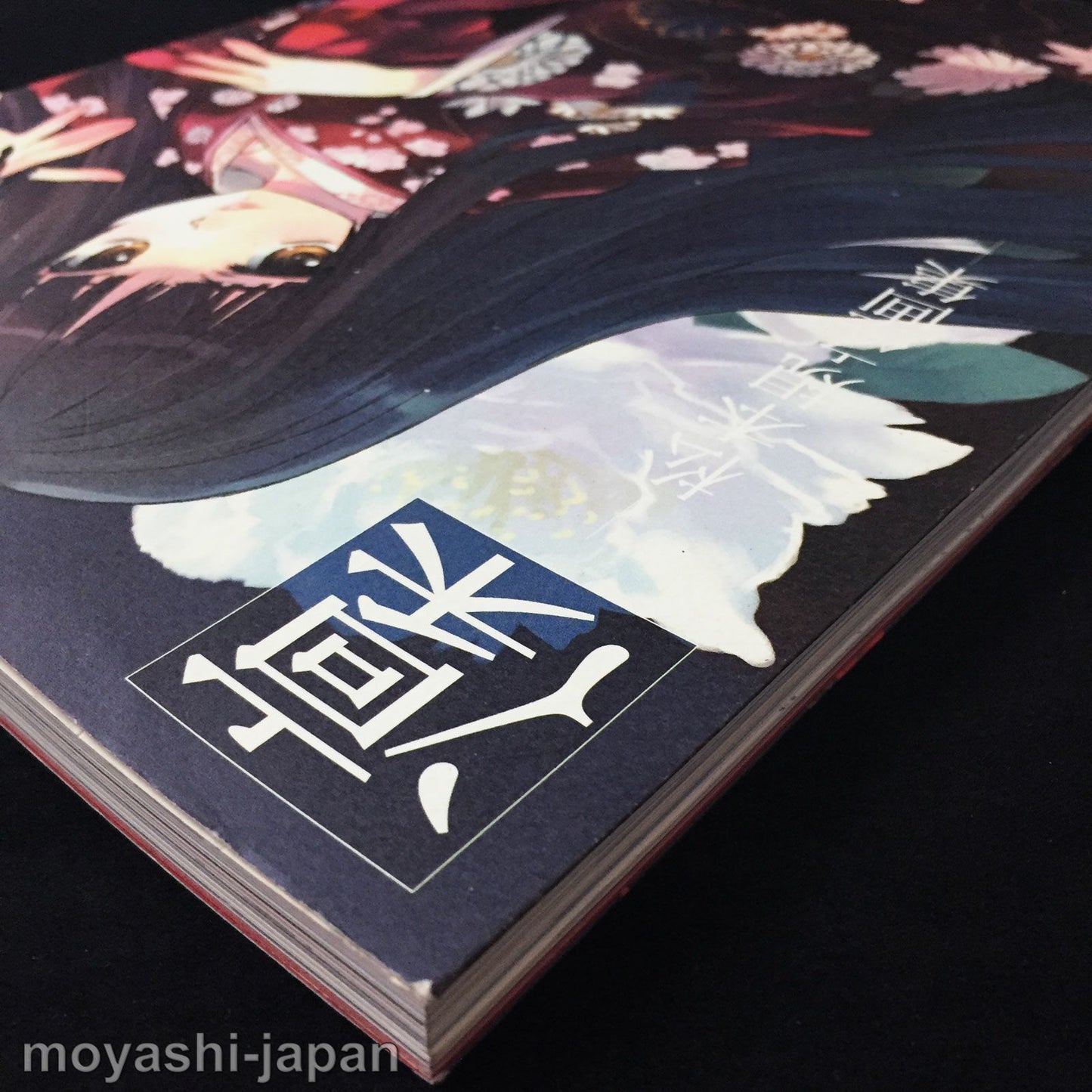 Noriyuki Matsumoto Art Book RIN