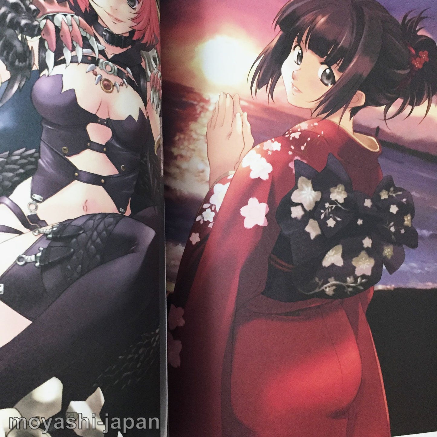 Noriyuki Matsumoto Art Book RIN