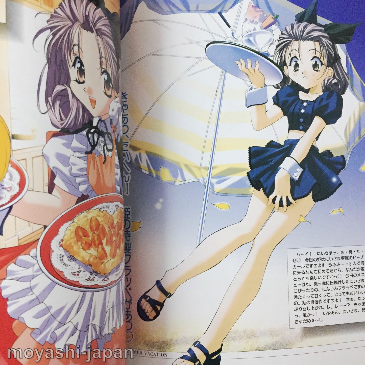 Sister Princess Official Characters Book