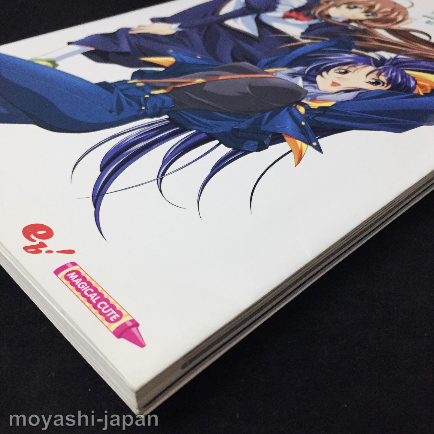 Natural2 DUO Visual Fan Book