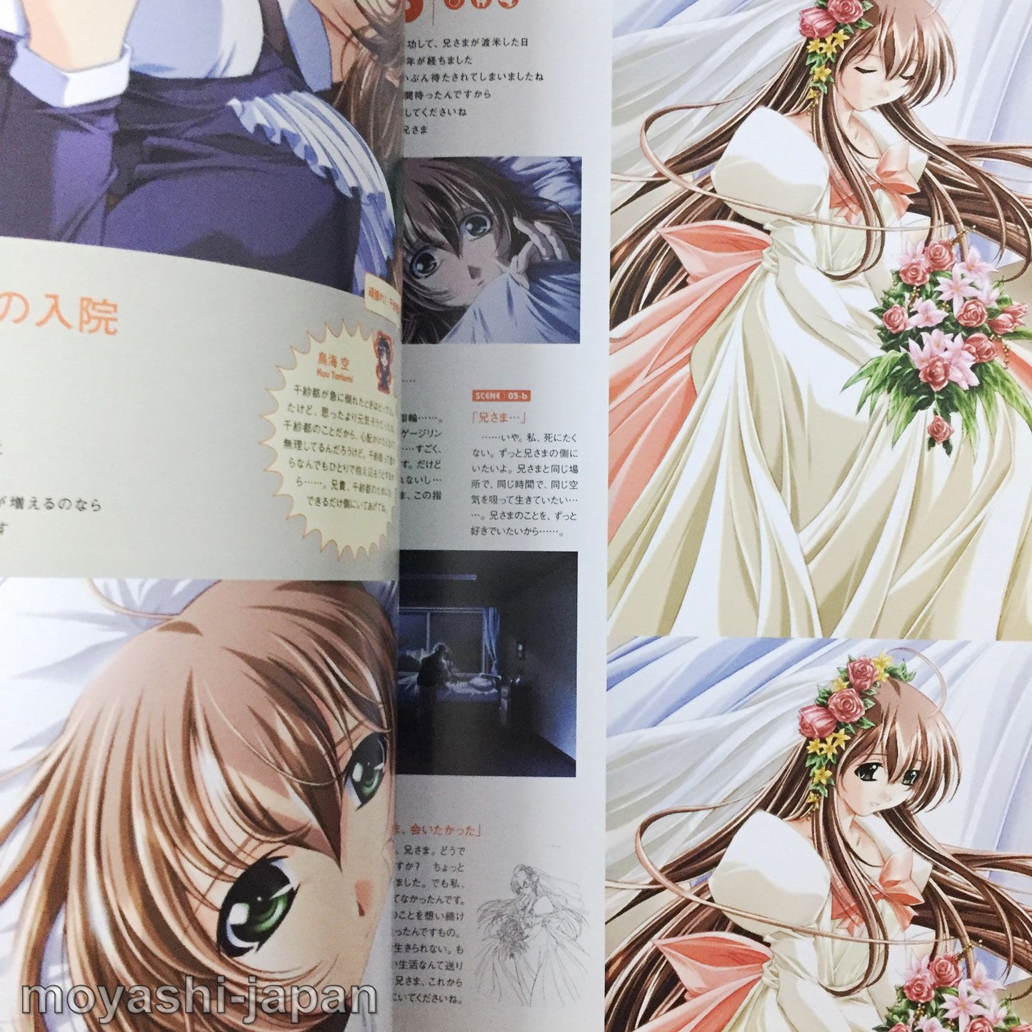 Natural2 DUO Visual Fan Book