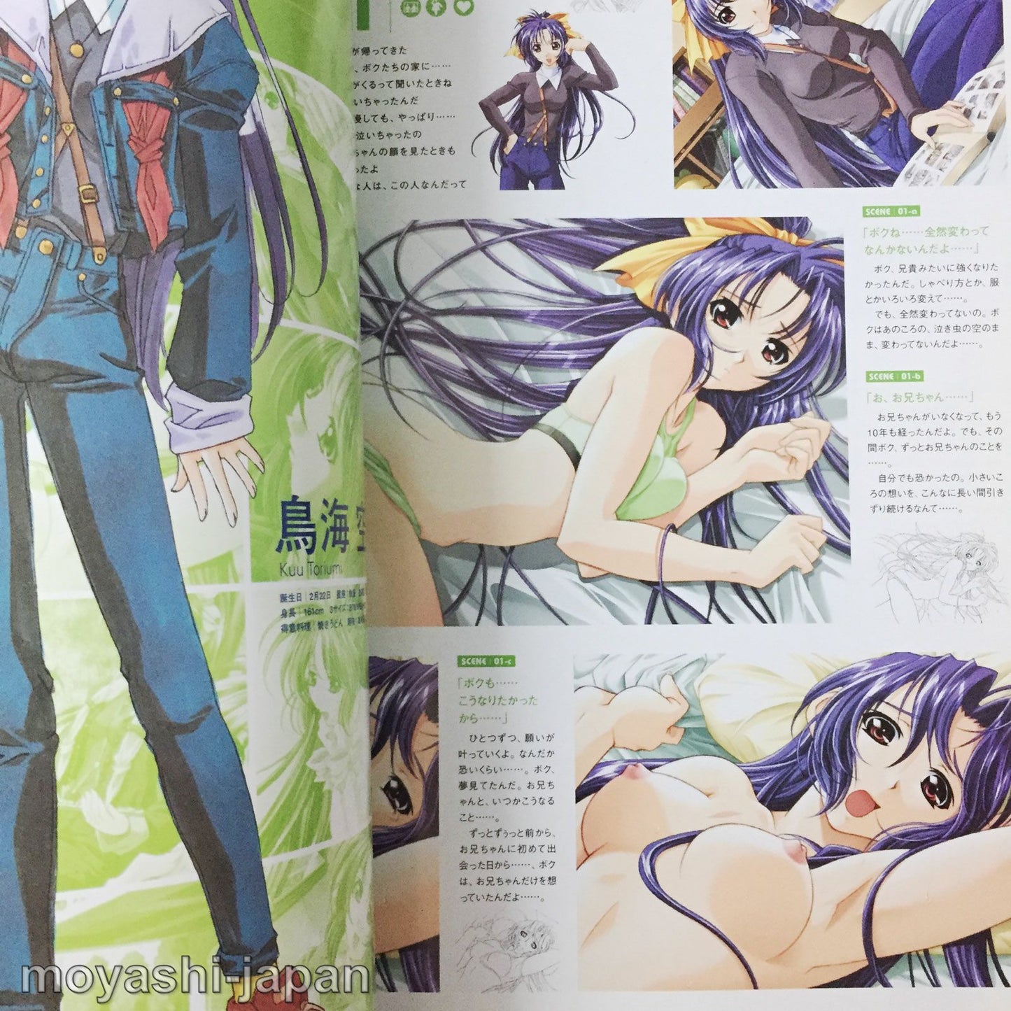 Natural2 DUO Visual Fan Book
