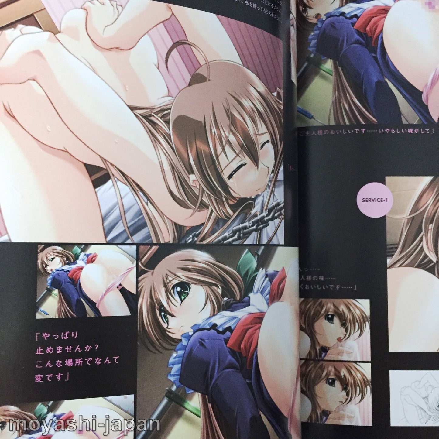 Natural2 DUO Visual Fan Book
