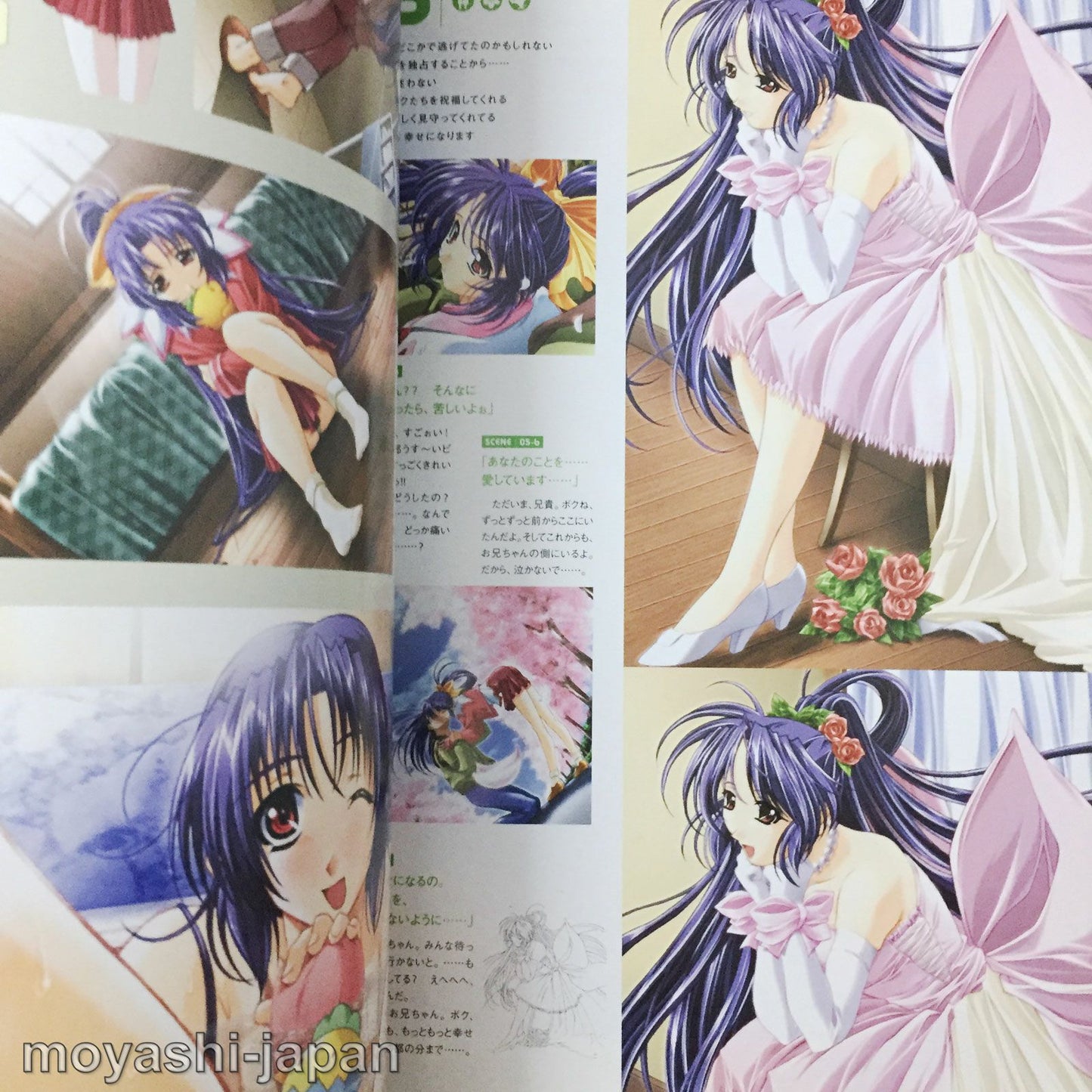 Natural2 DUO Visual Fan Book