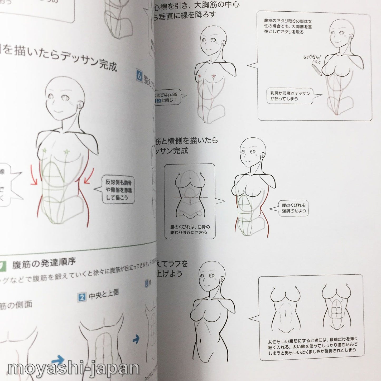Digital Illustration "Body" Drawing Encyclopedia
